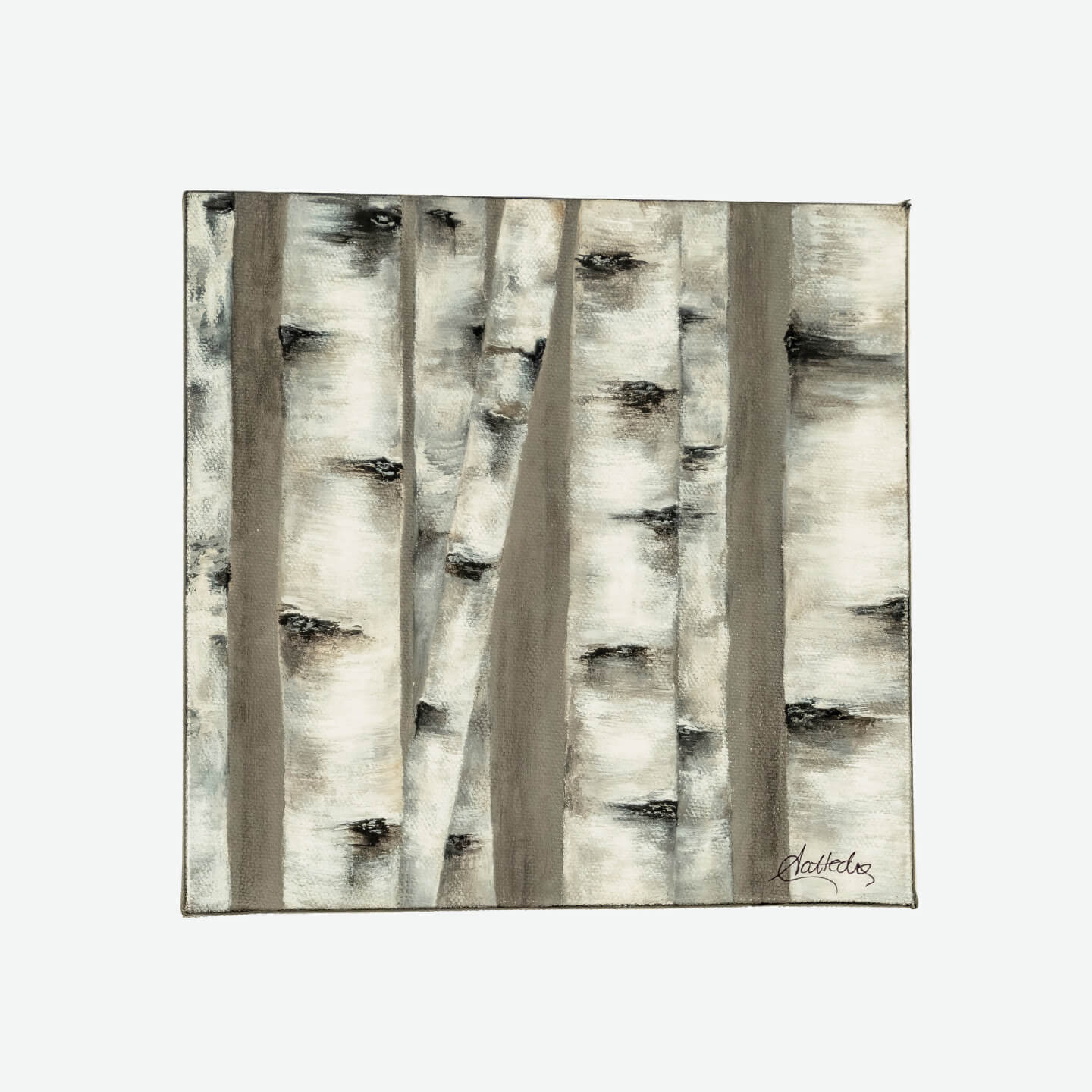 Birch II