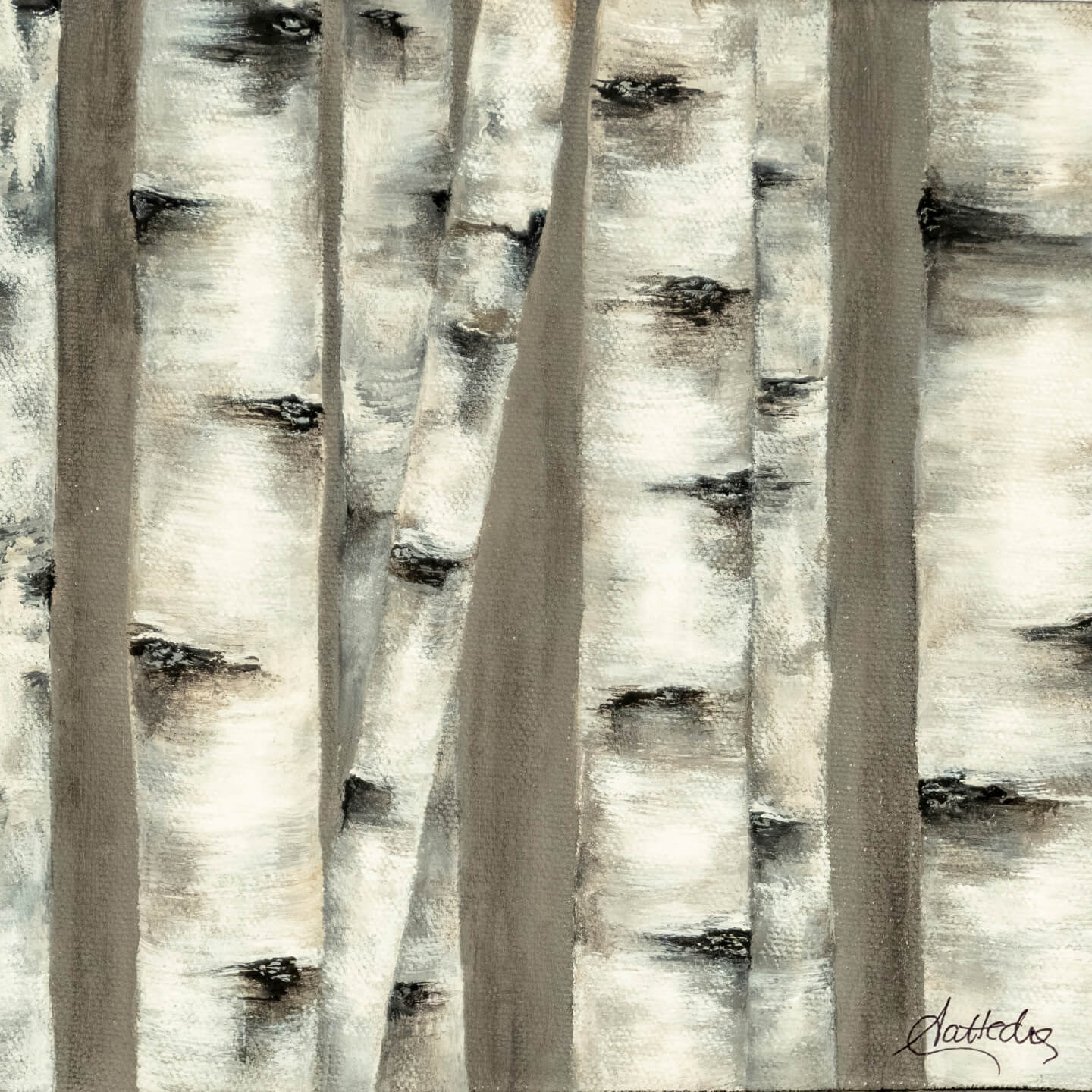 Birch II