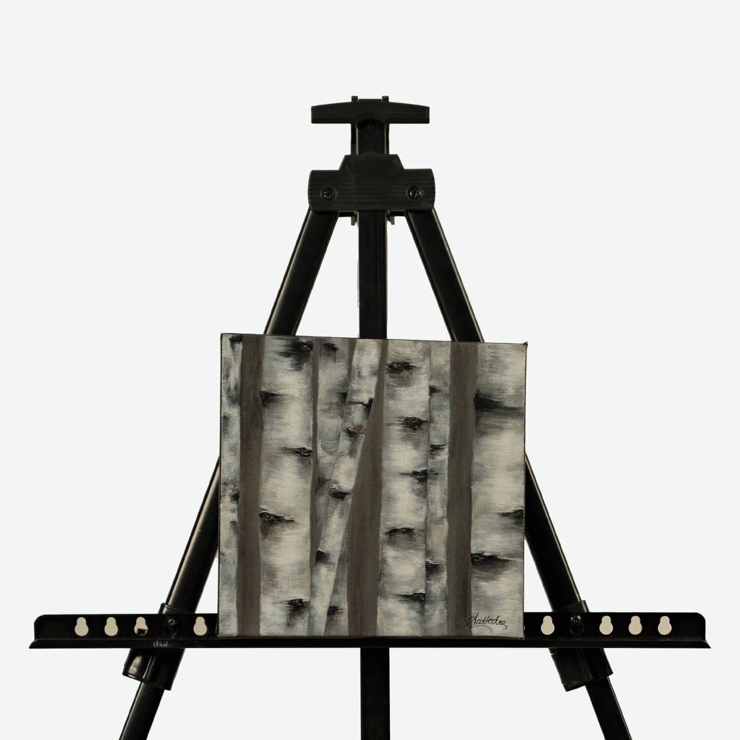 Birch II