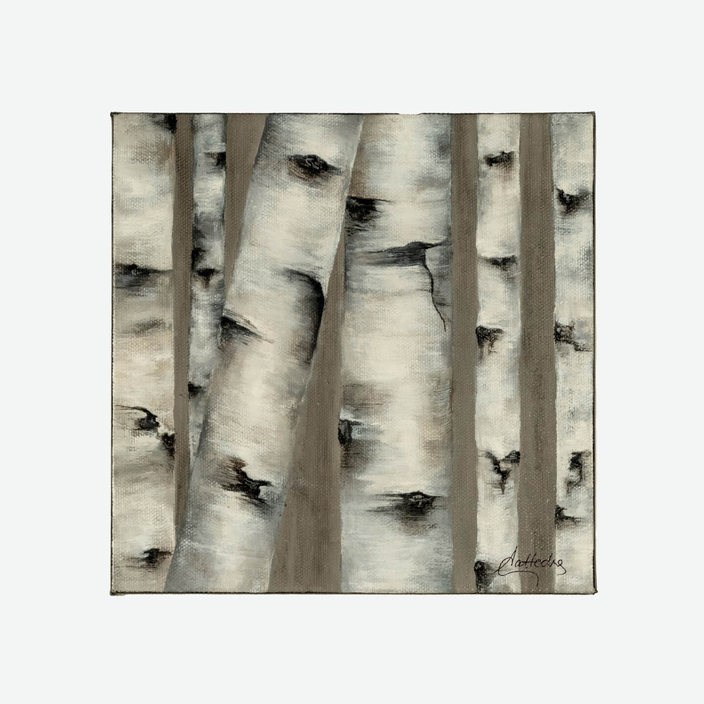 Birch III
