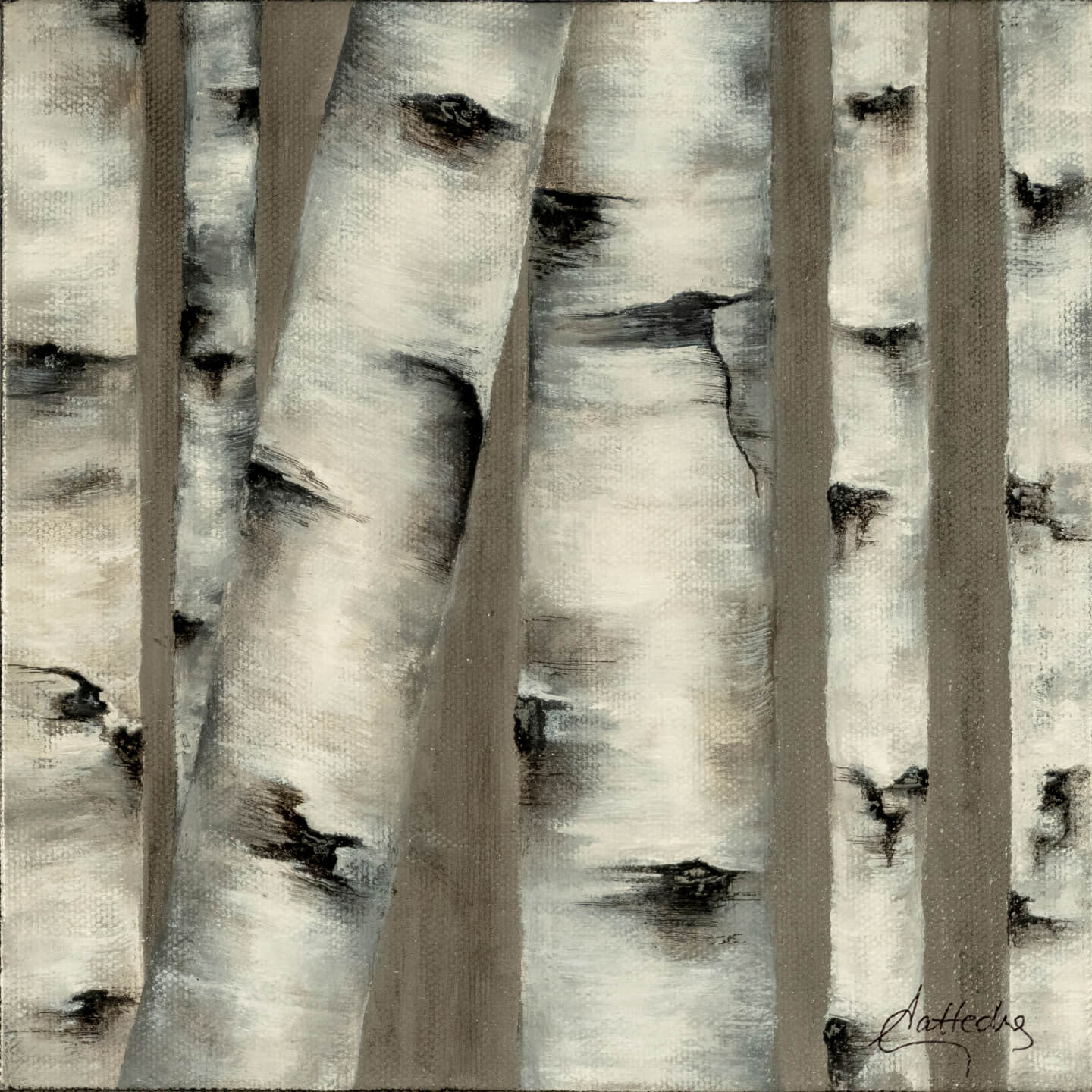 Birch III