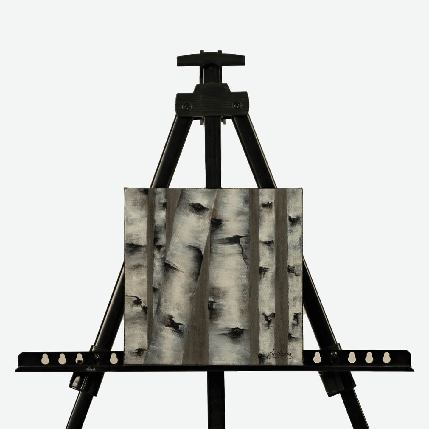 Birch III