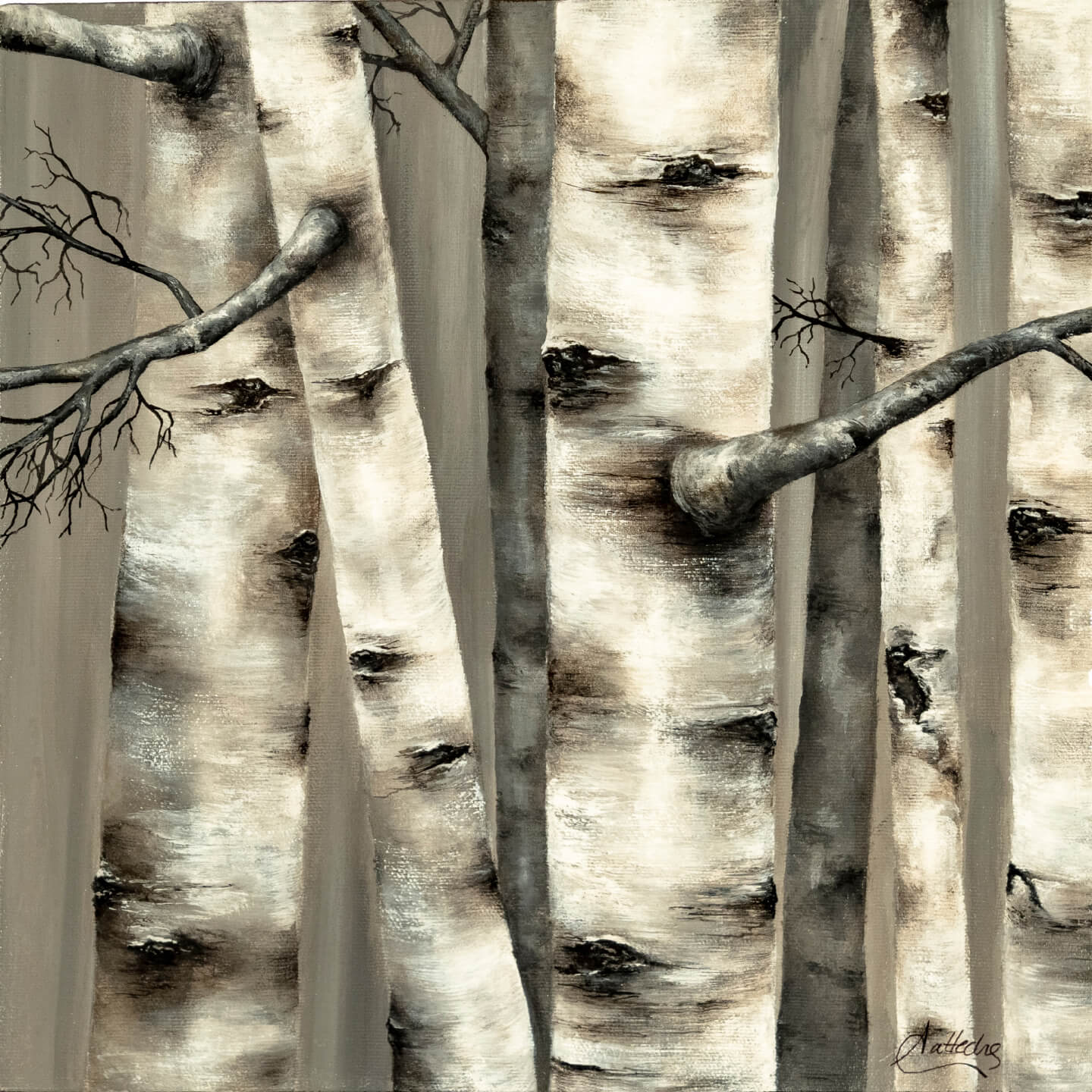Birch