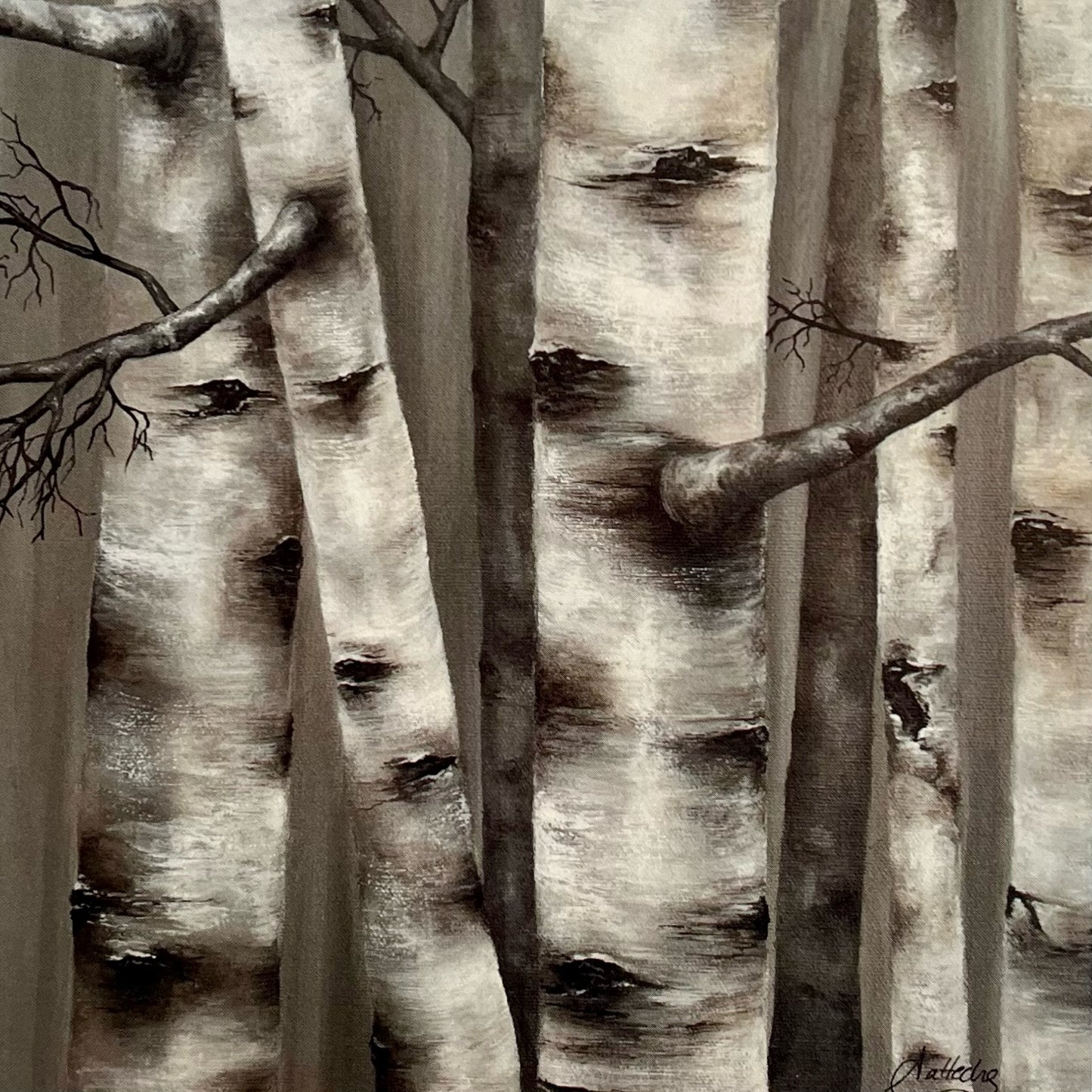 Birch