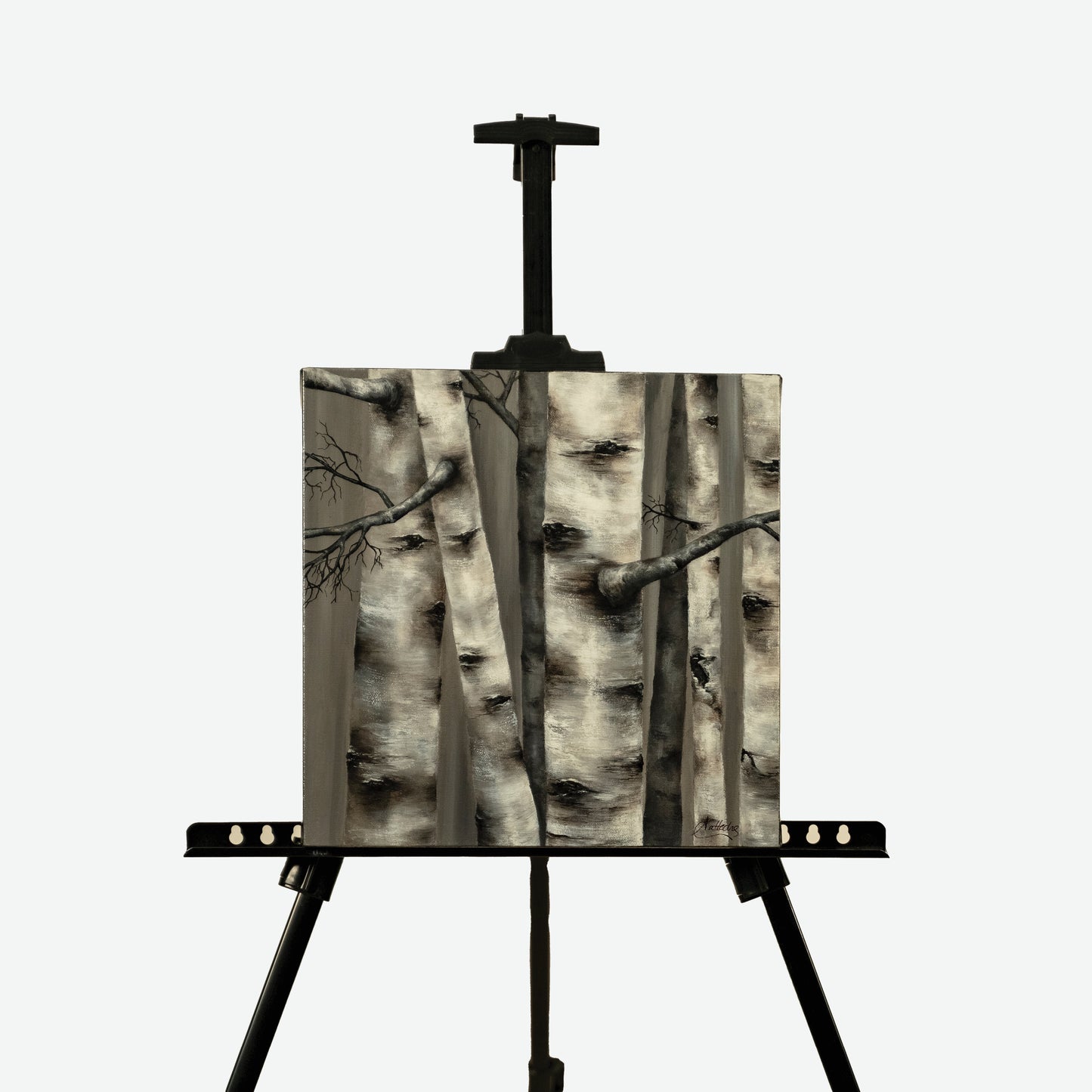 Birch