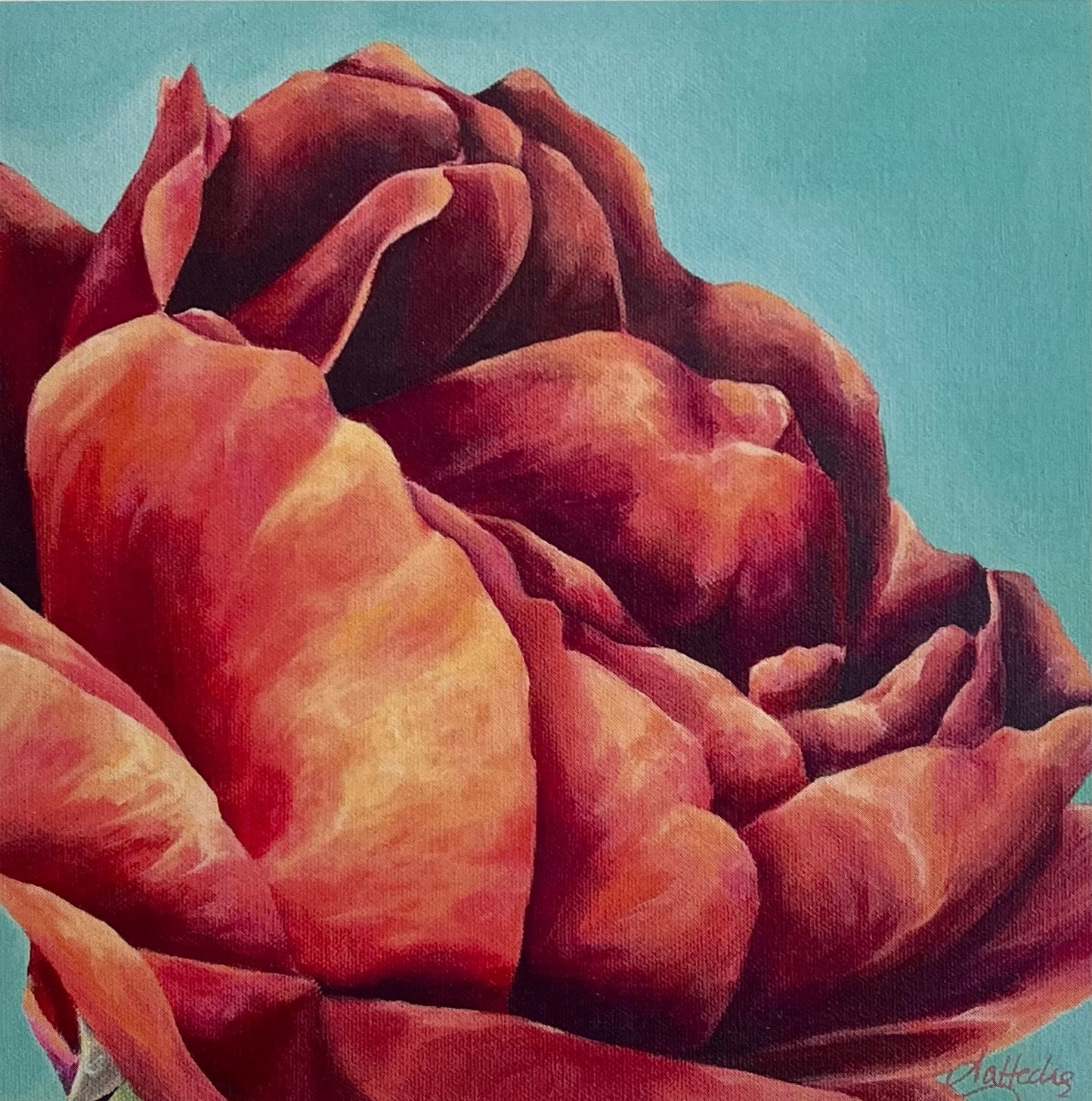 Capture The Light (English Rose)