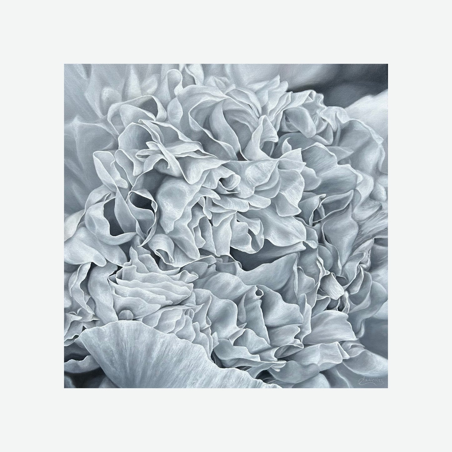Delicate (Peony)
