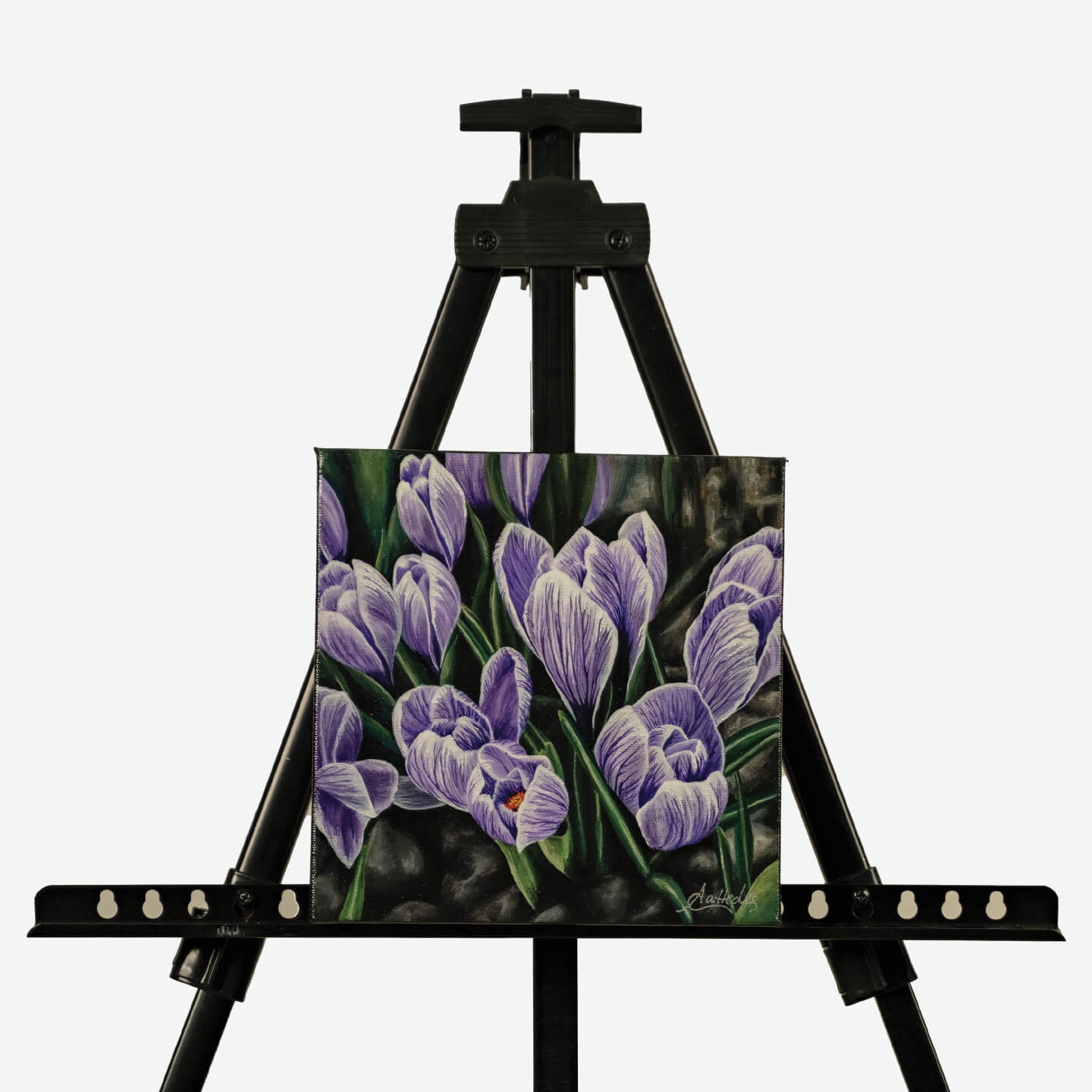 Early Signs Of Spring (Crocus)