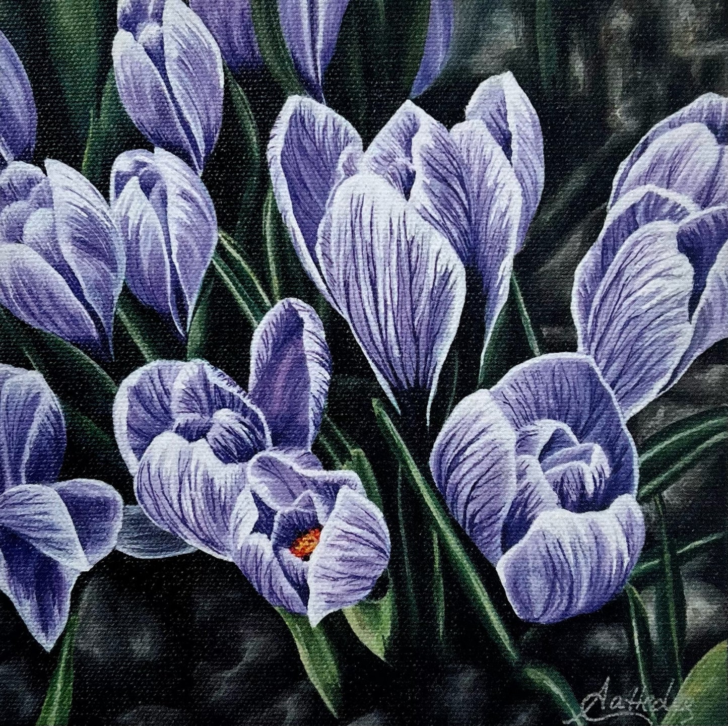 Early Signs Of Spring (Crocus)