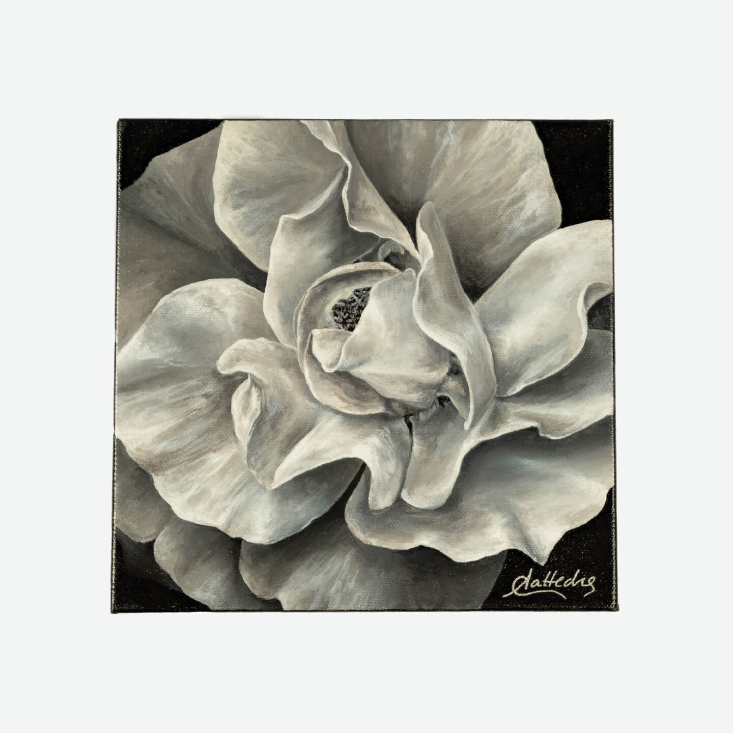 Elegance (Black & White Rose)