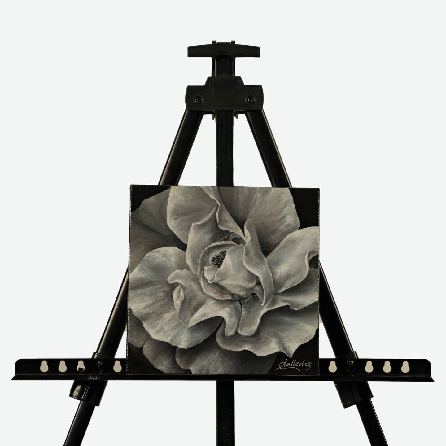 Elegance (Black & White Rose)