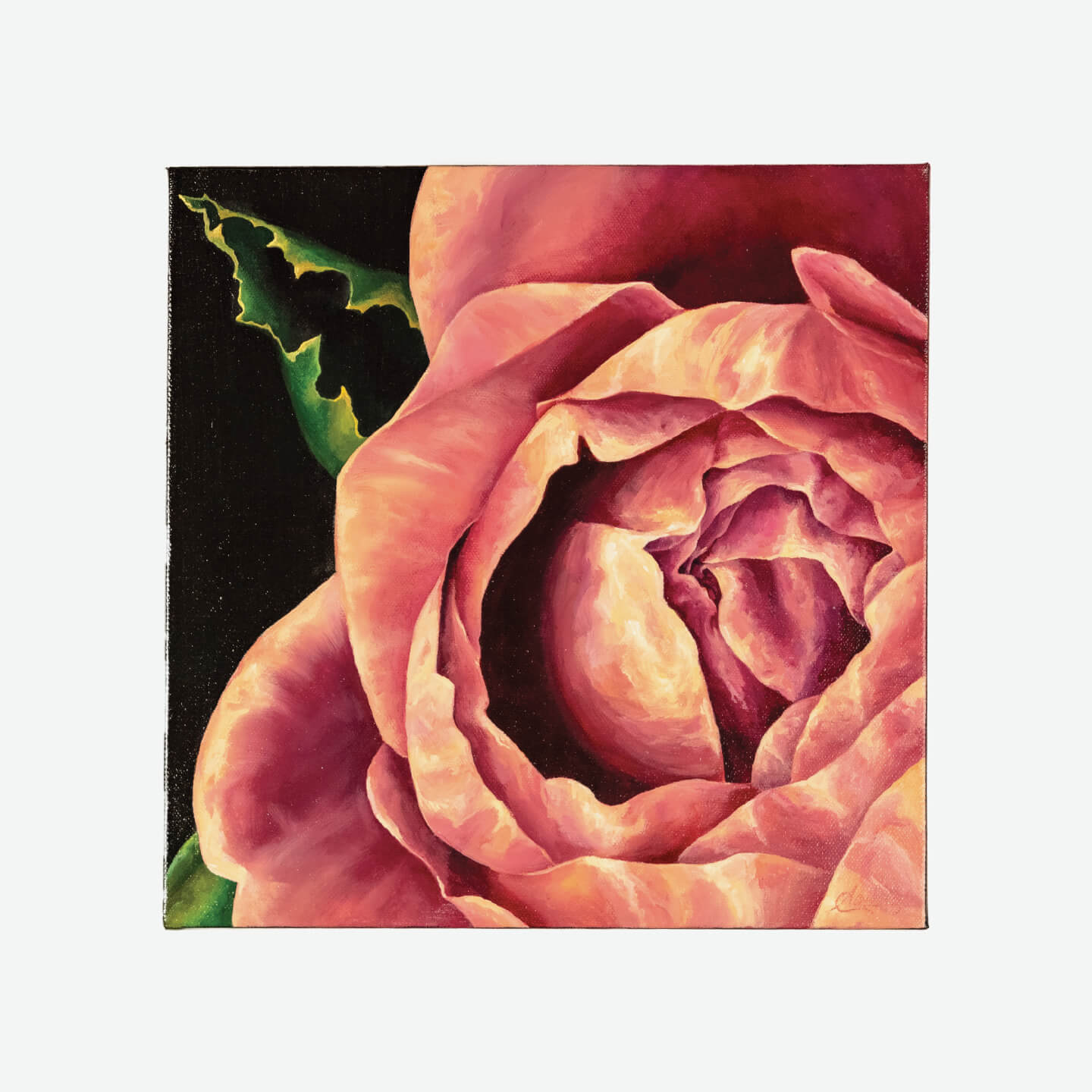 English Rose III