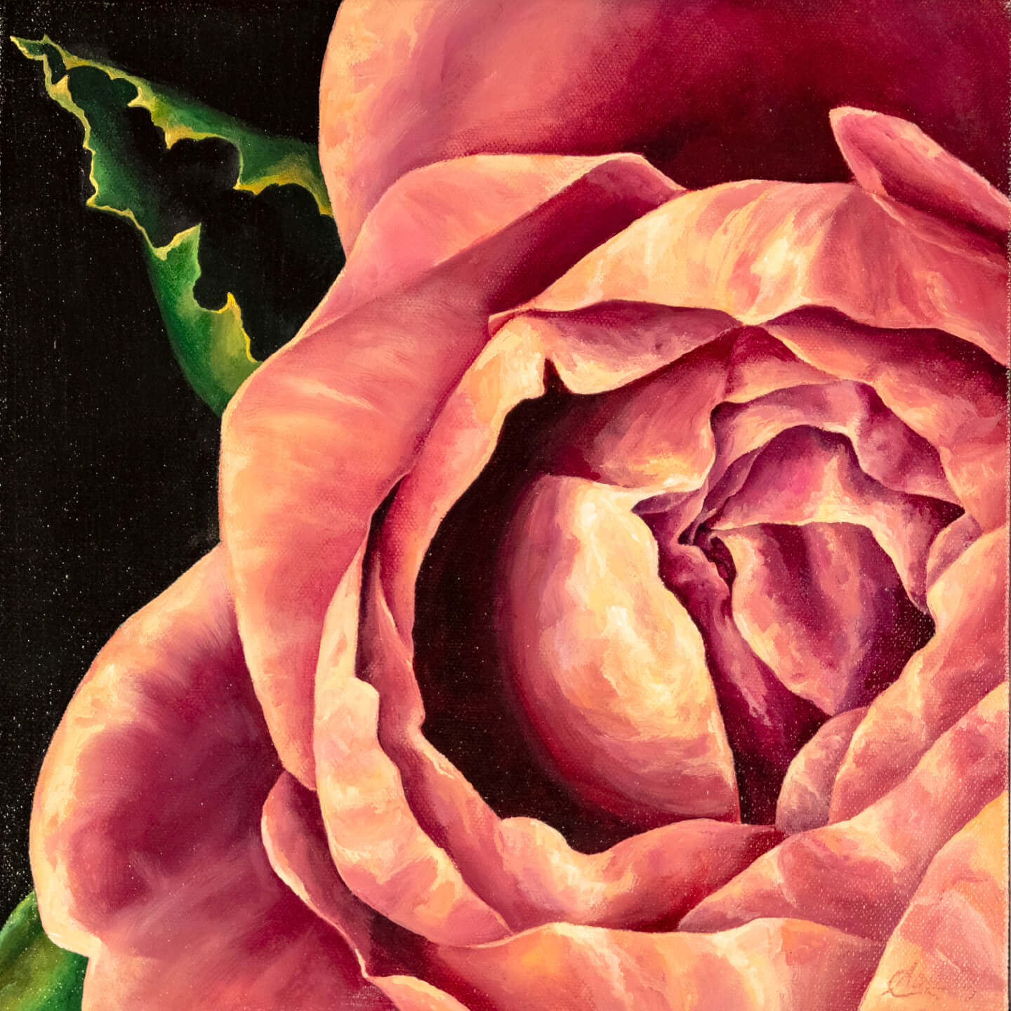 English Rose III