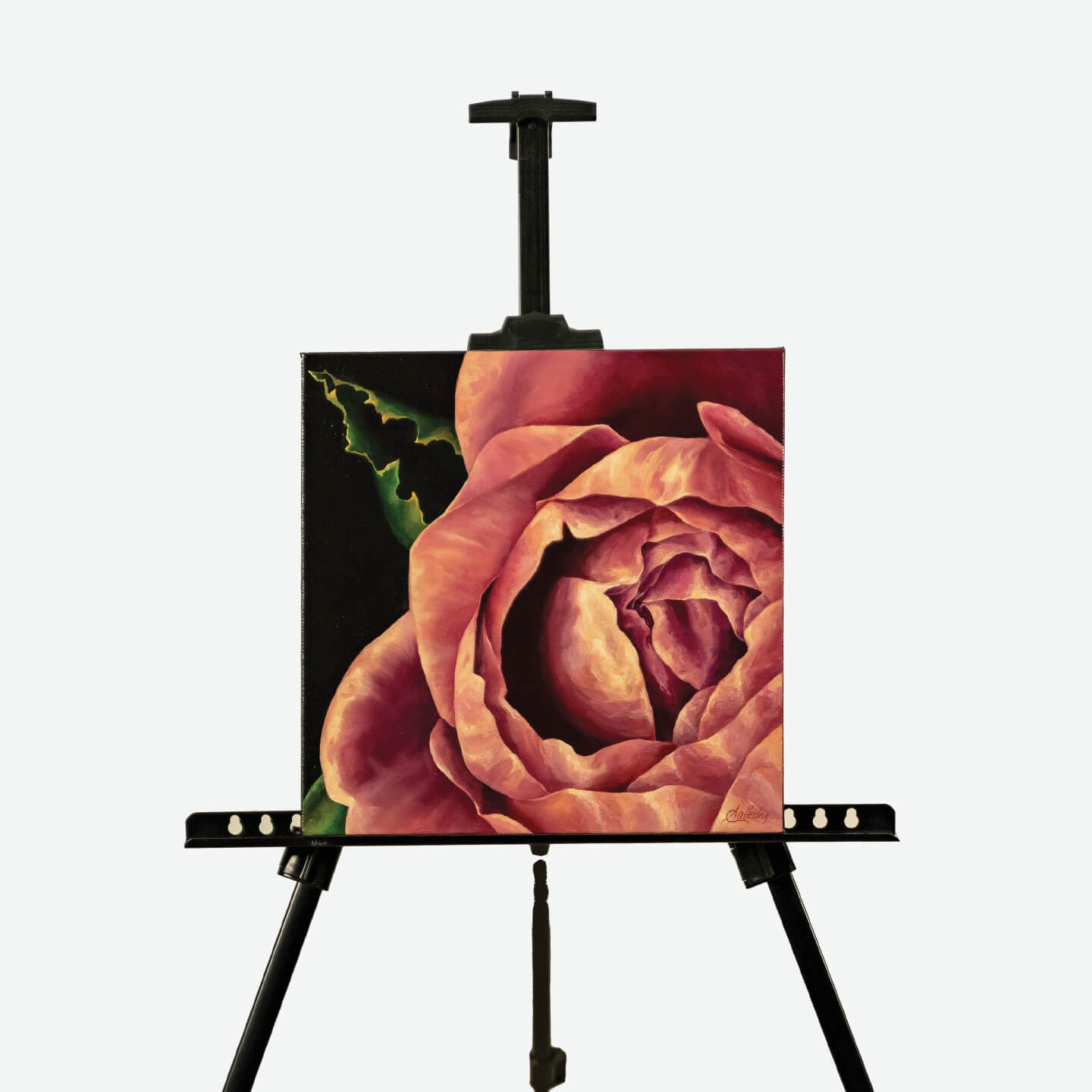 English Rose III