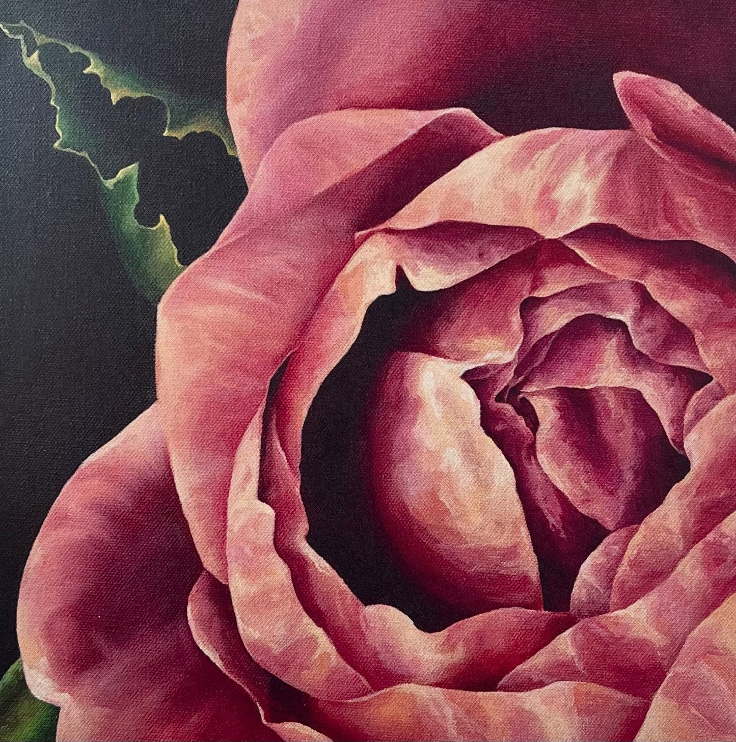 English Rose III