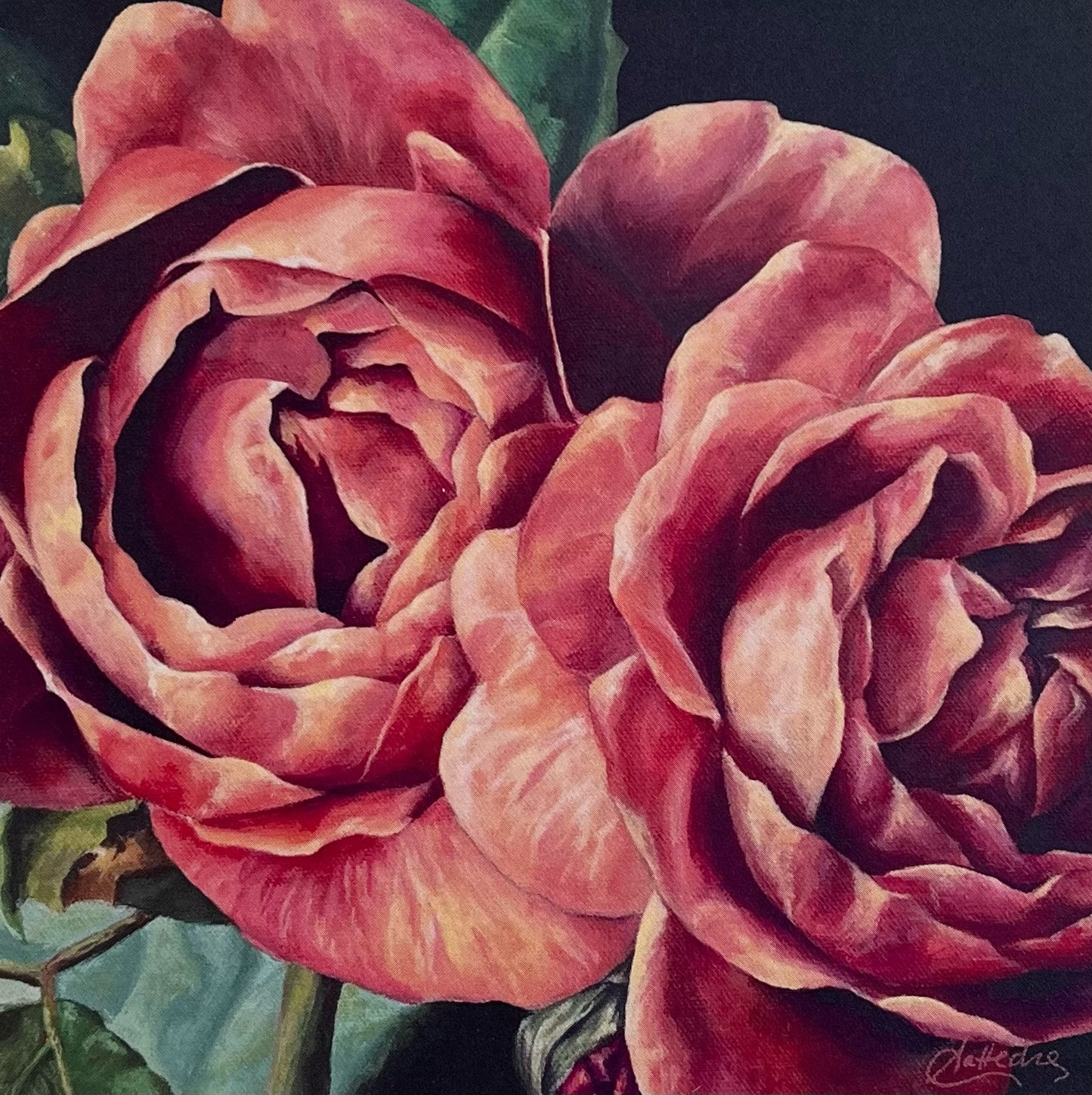 English Rose II