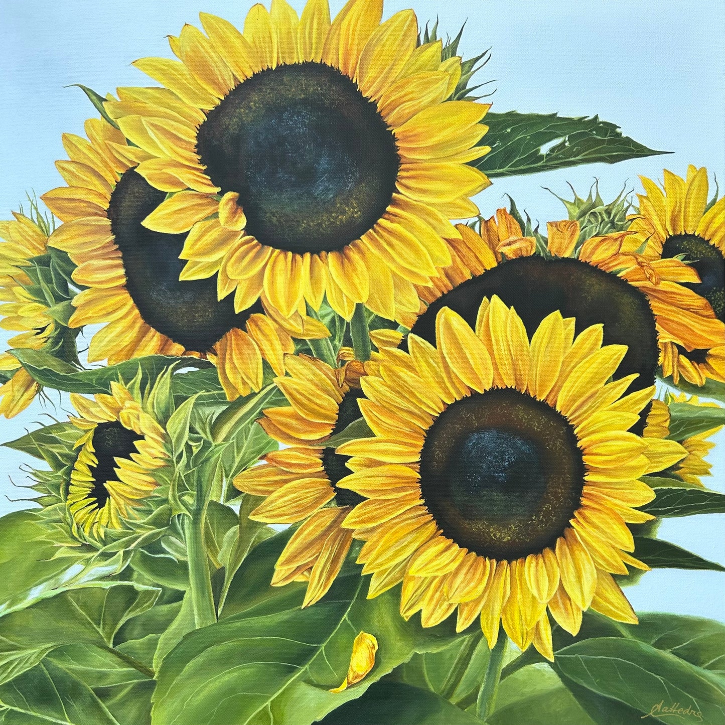 Family (Sunflowers)