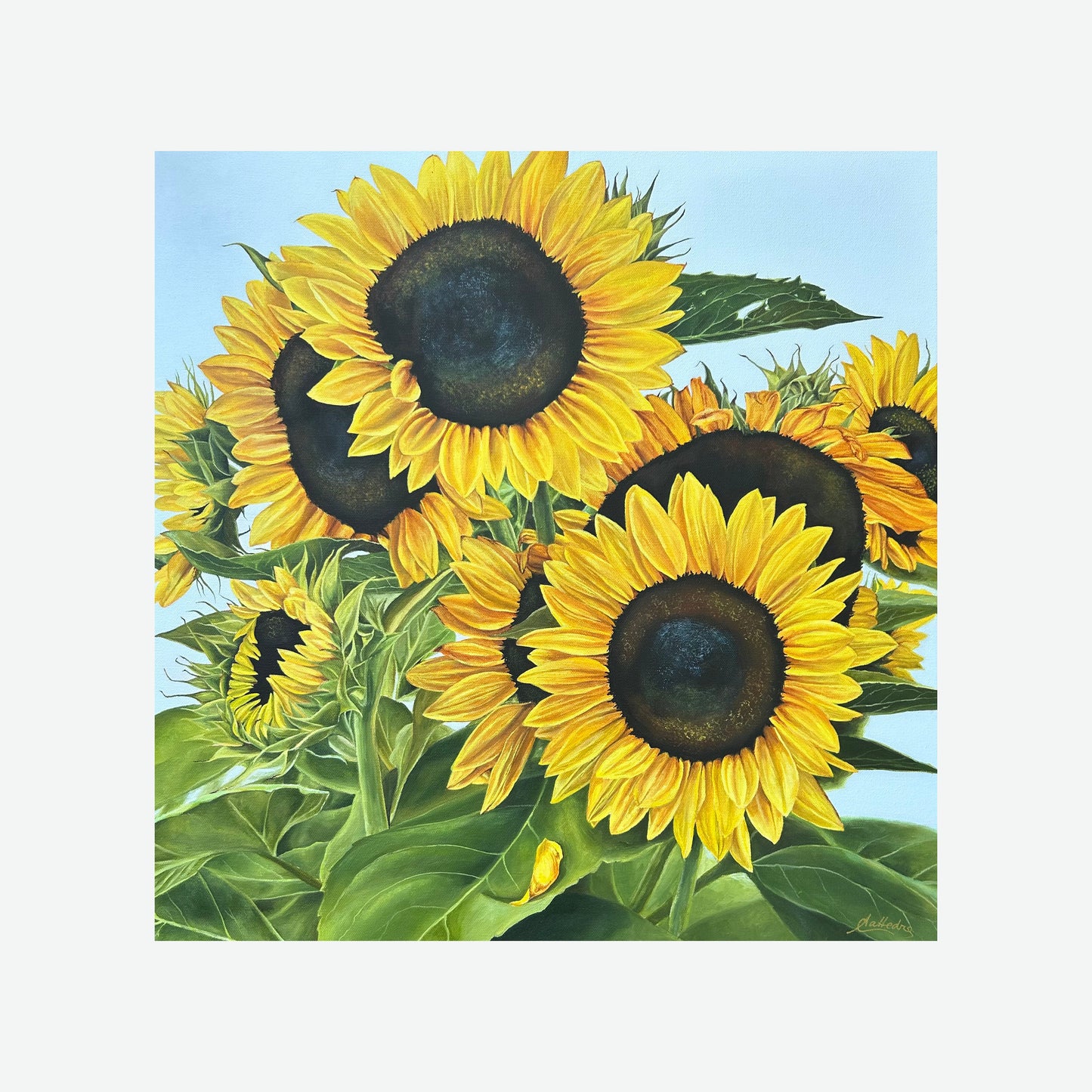 Family (Sunflowers)