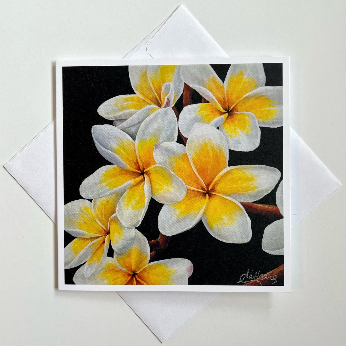 Frangipani