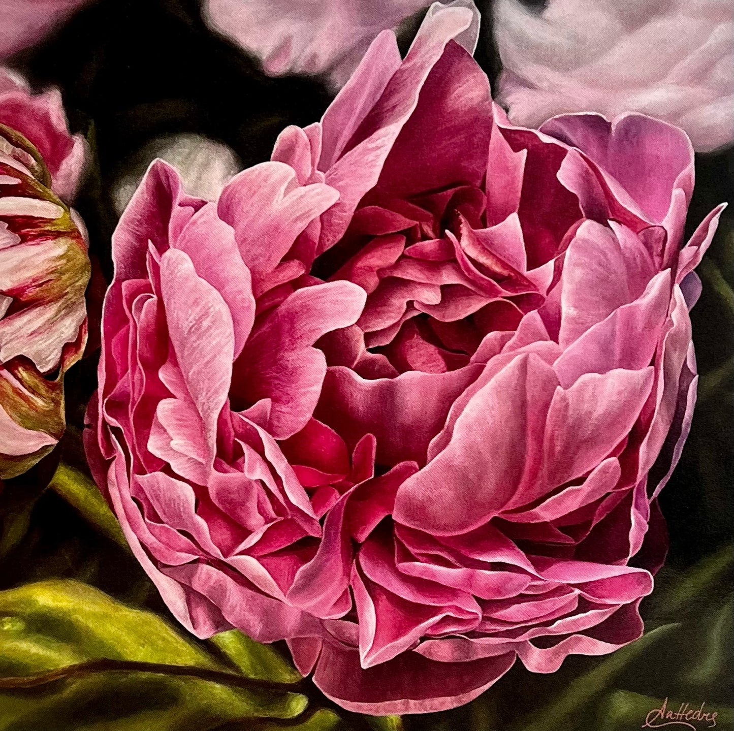 Fleeting Beauty (Peony)