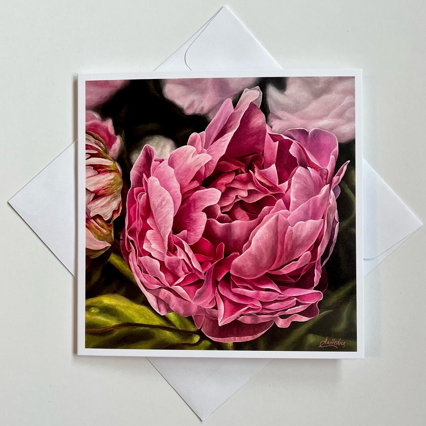 Fleeting Beauty (Peony)