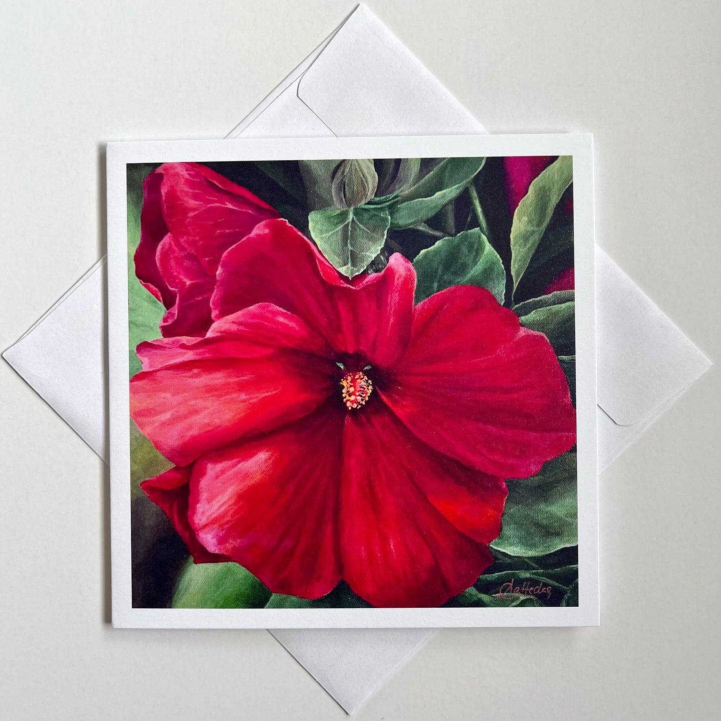 Hibiscus