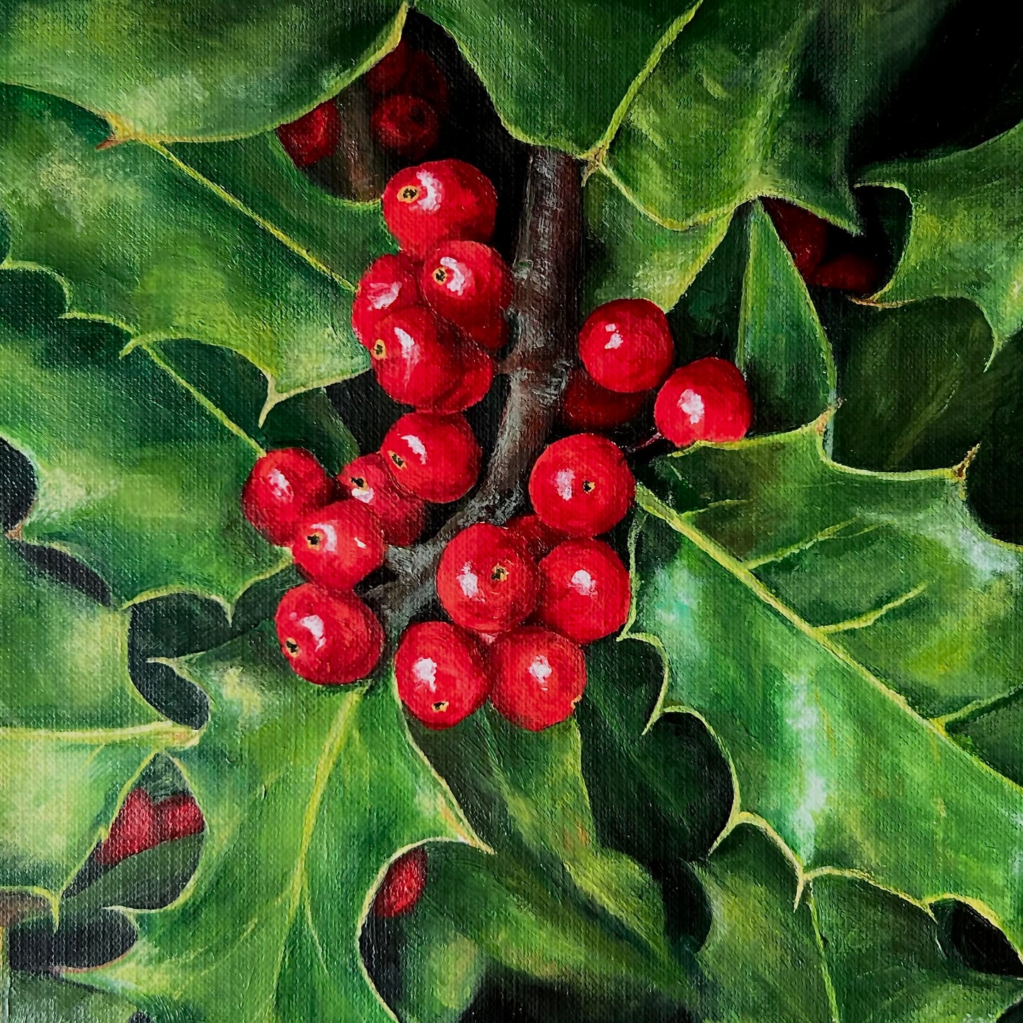 Holly