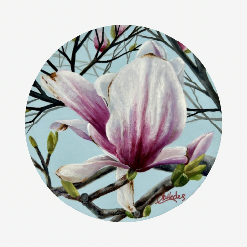 Queen of Spring III (Magnolia)