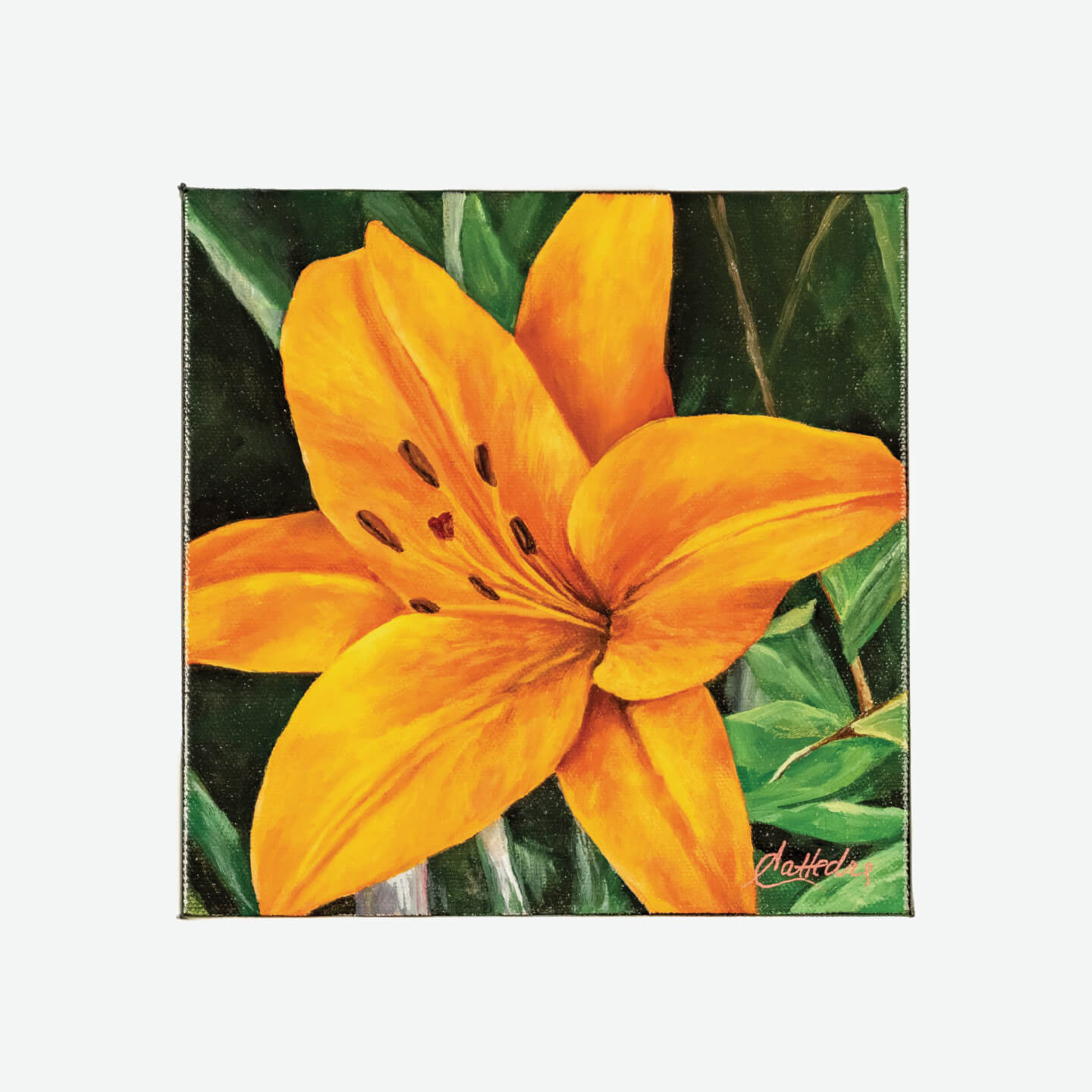 Orange Lily
