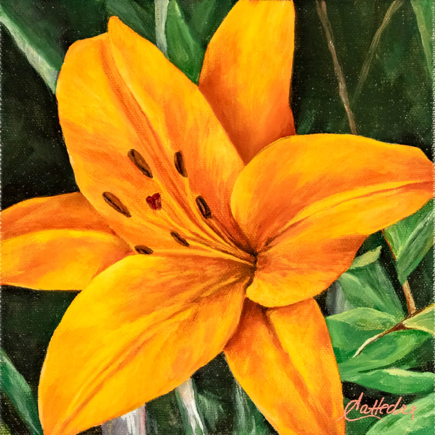 Orange Lily