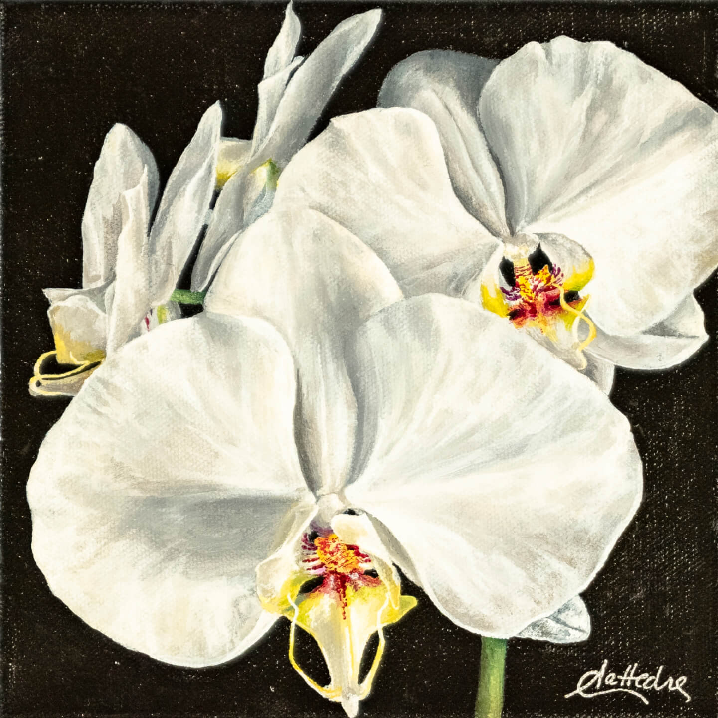 Orchid II