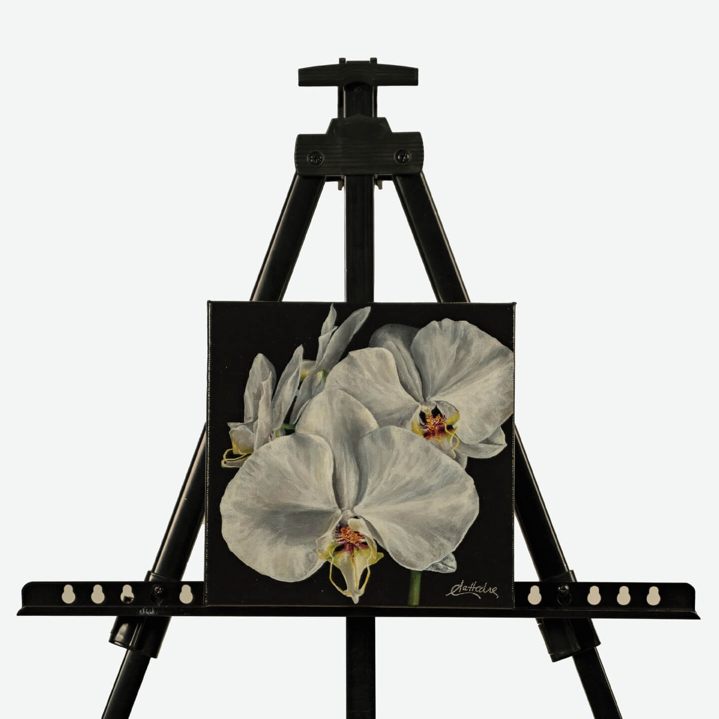 Orchid II