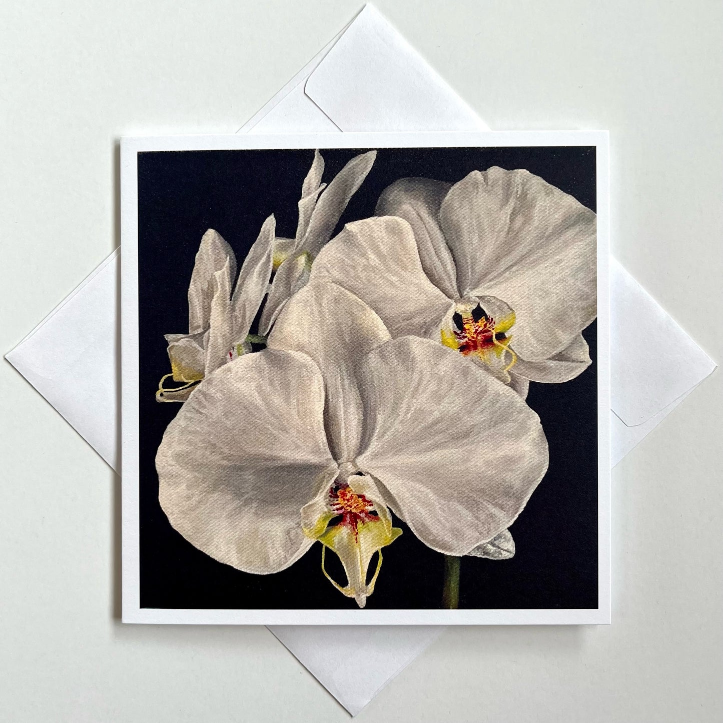 Orchid II