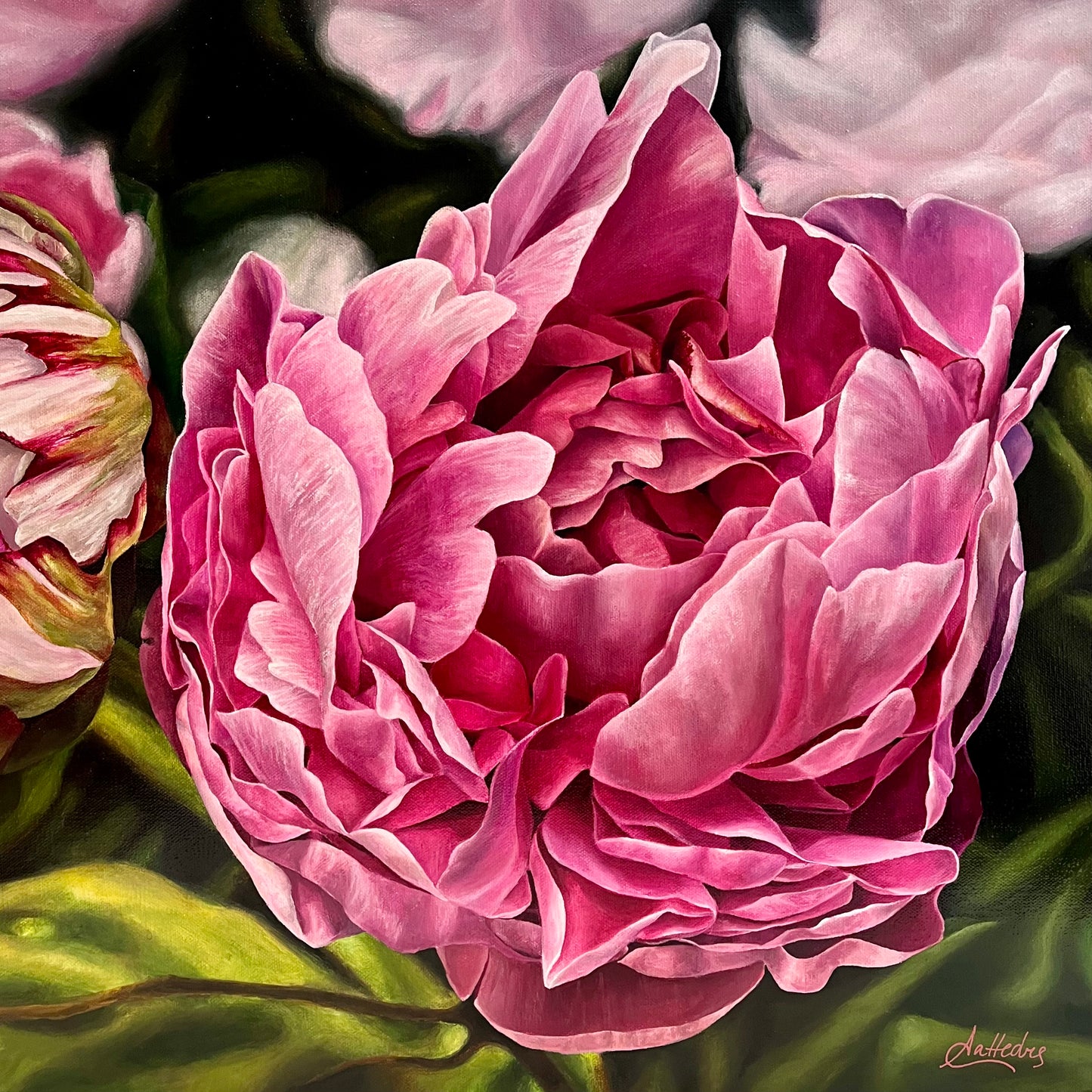 Fleeting Beauty (Peony)