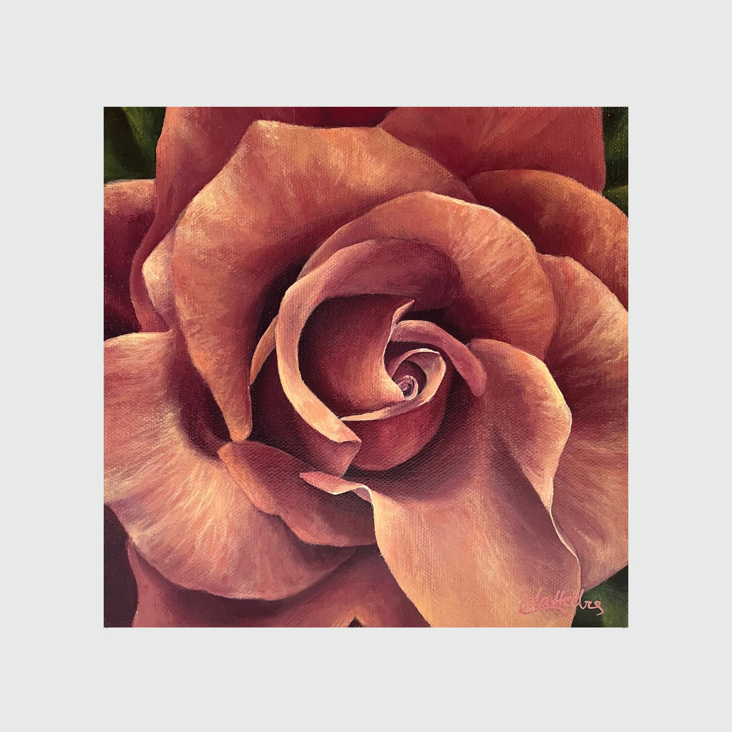Rose IV