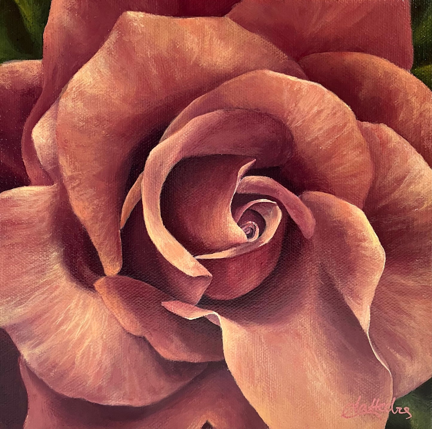 Rose IV