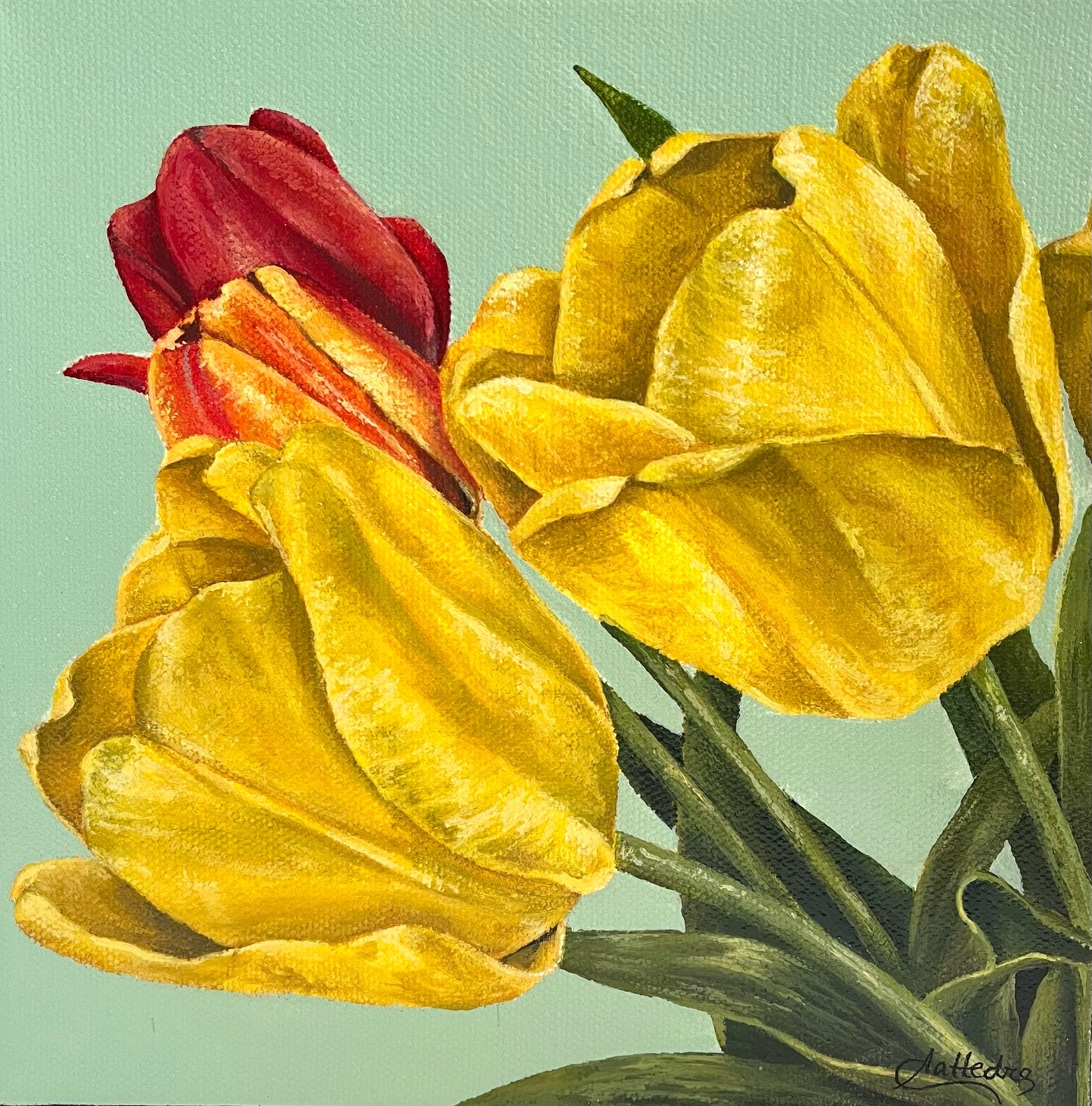 Tulips II