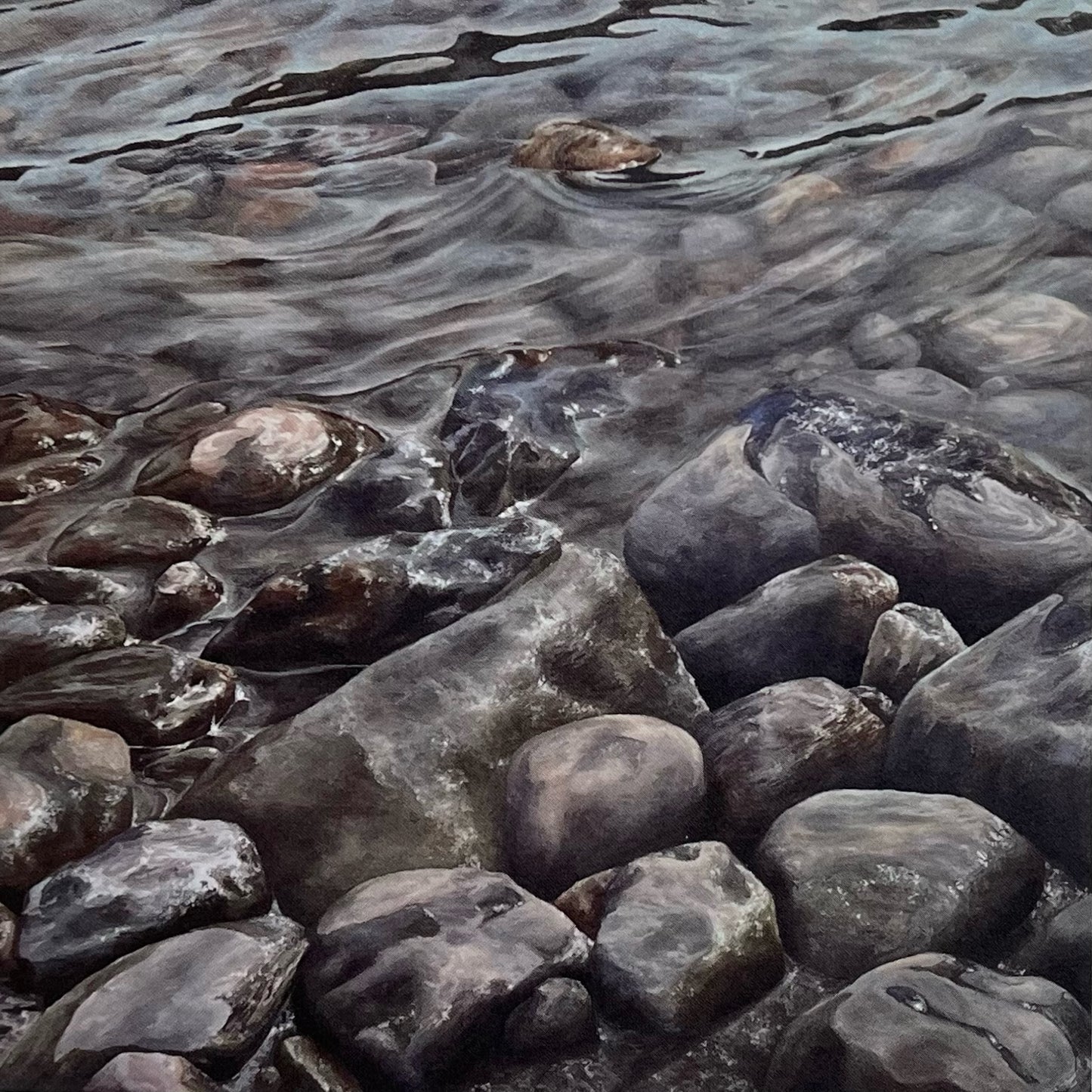 Shoreline