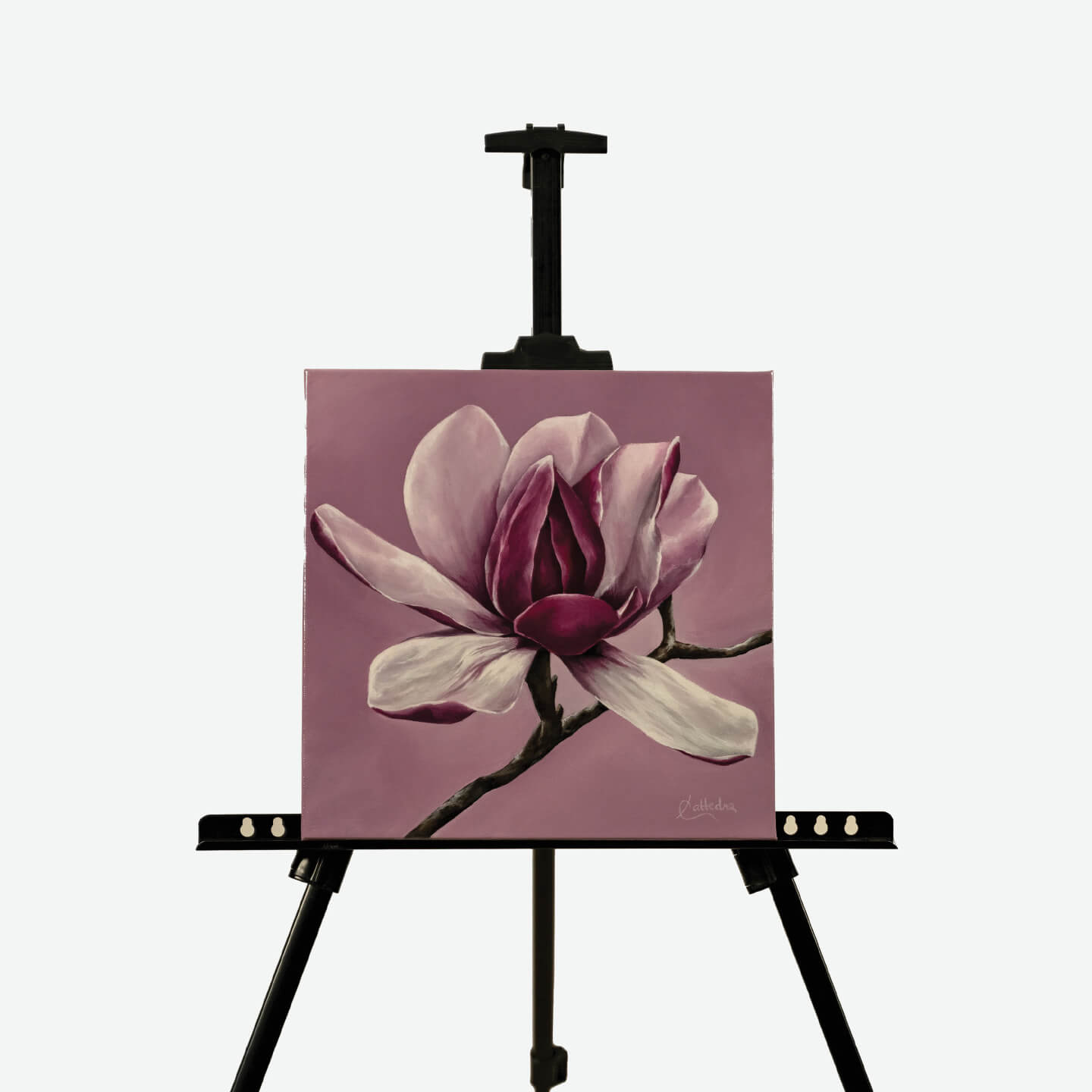 Spring Bloom (Magnolia)