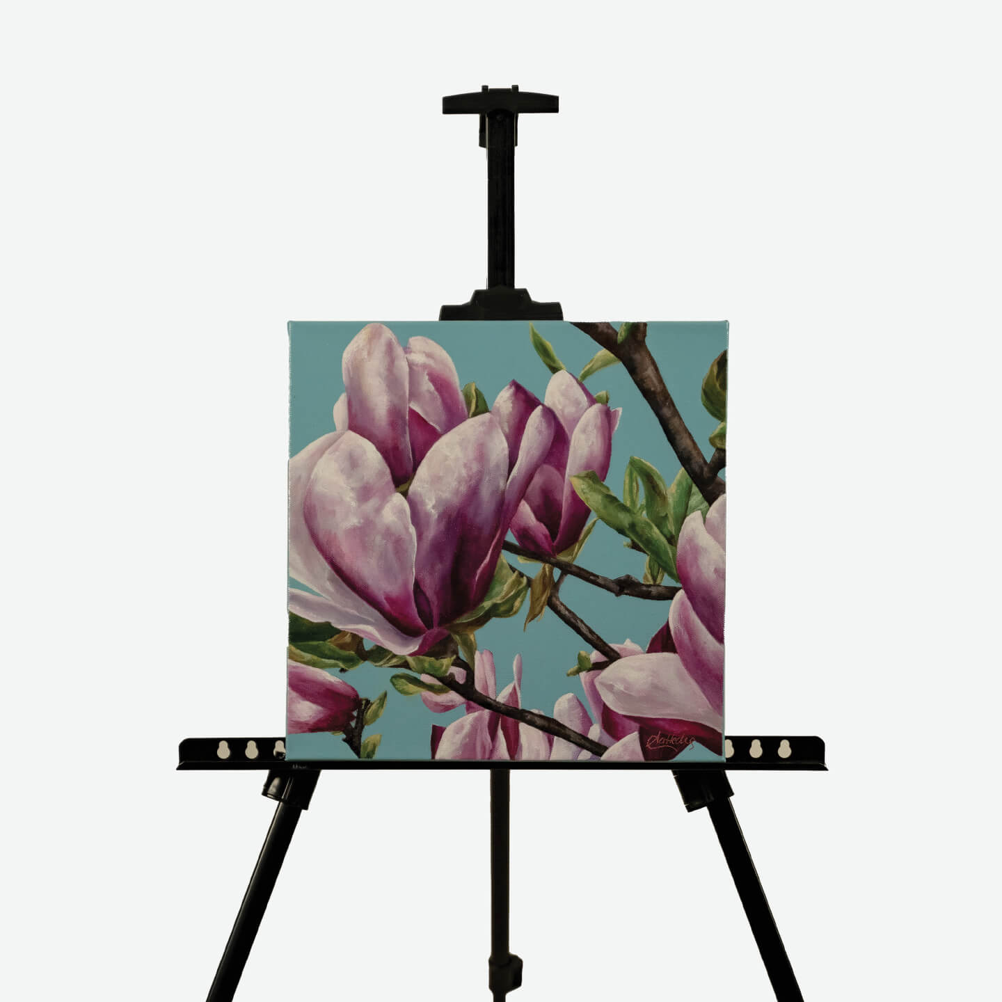 Spring Is In The Air (Magnolia)