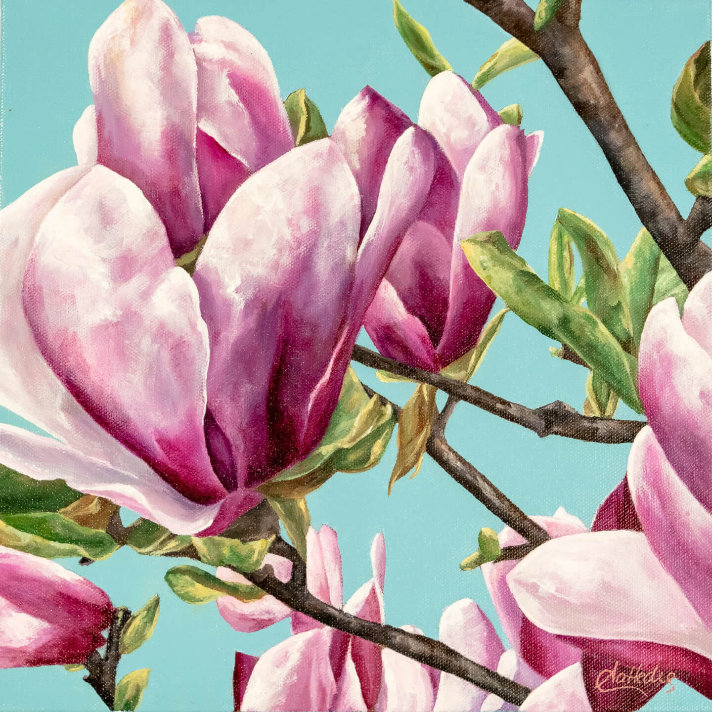 Spring Is In The Air (Magnolia)