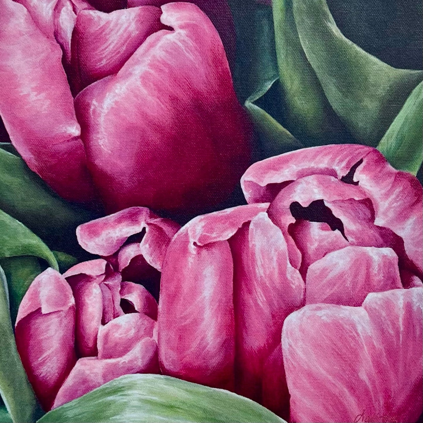Spring Has Spring (Tulips)