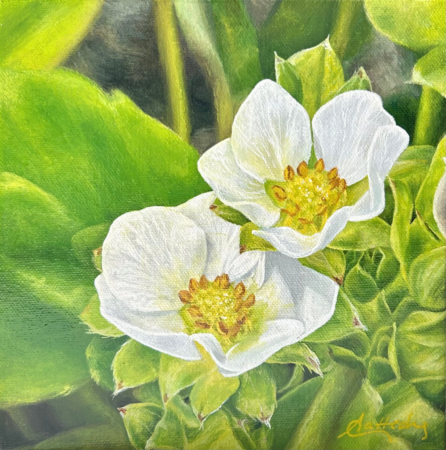 Strawberry Bloom