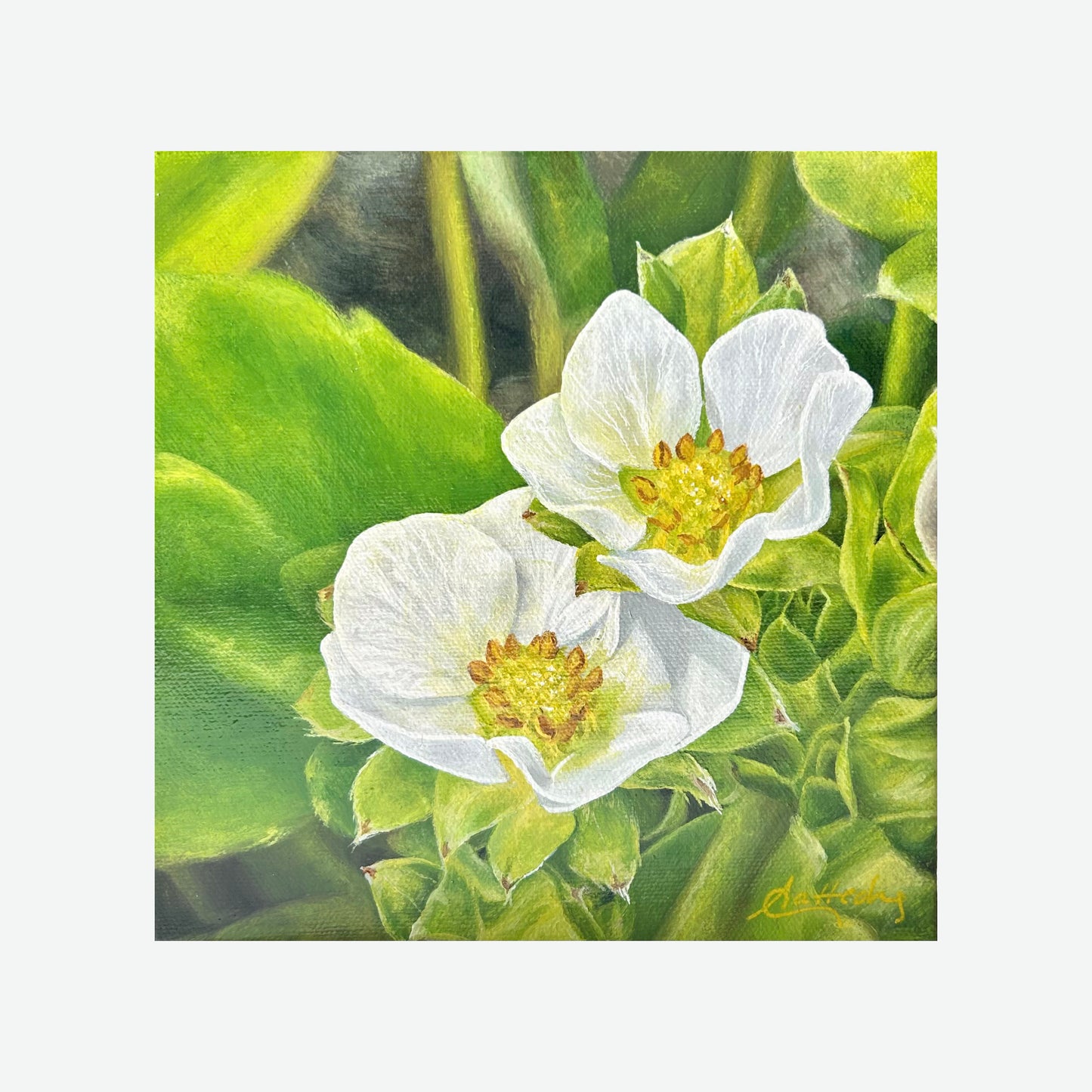 Strawberry Bloom
