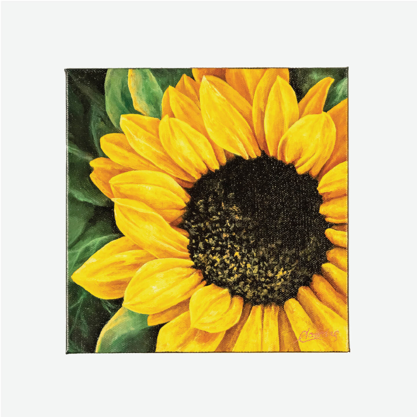 Sunflower II