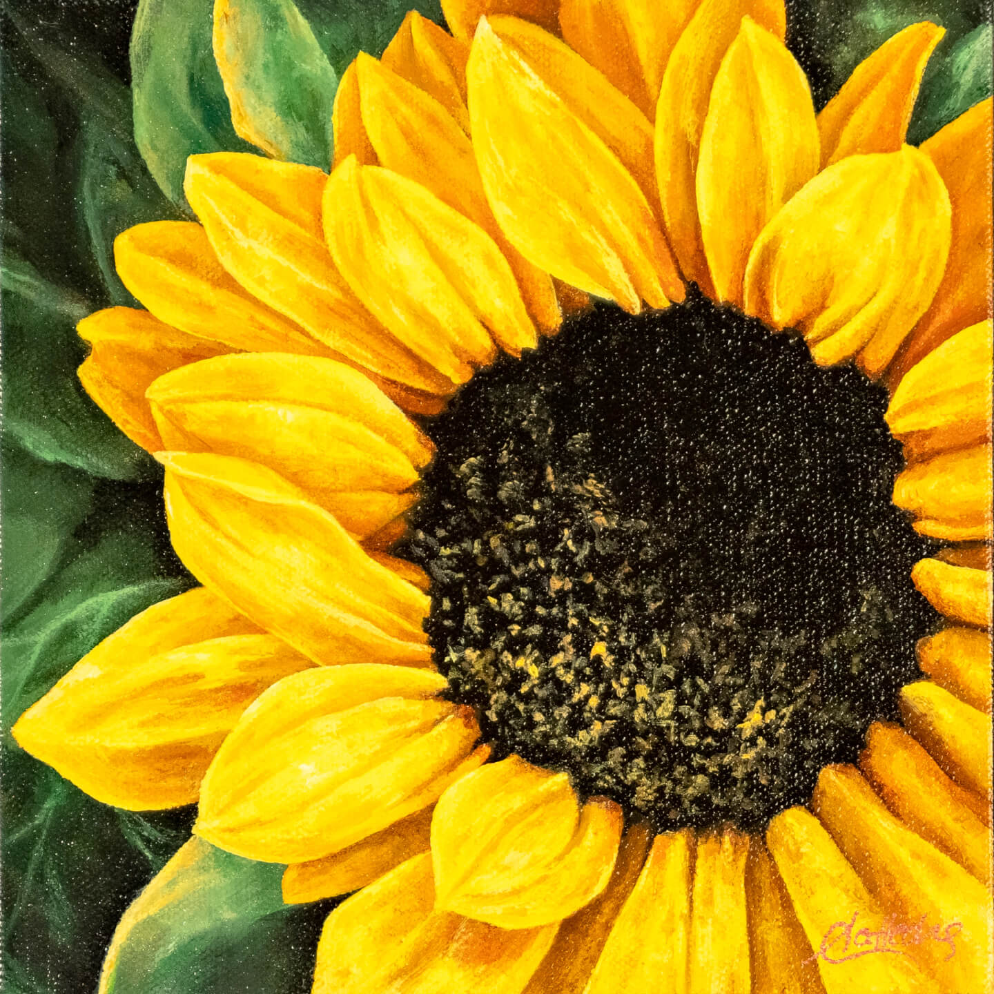 Sunflower II