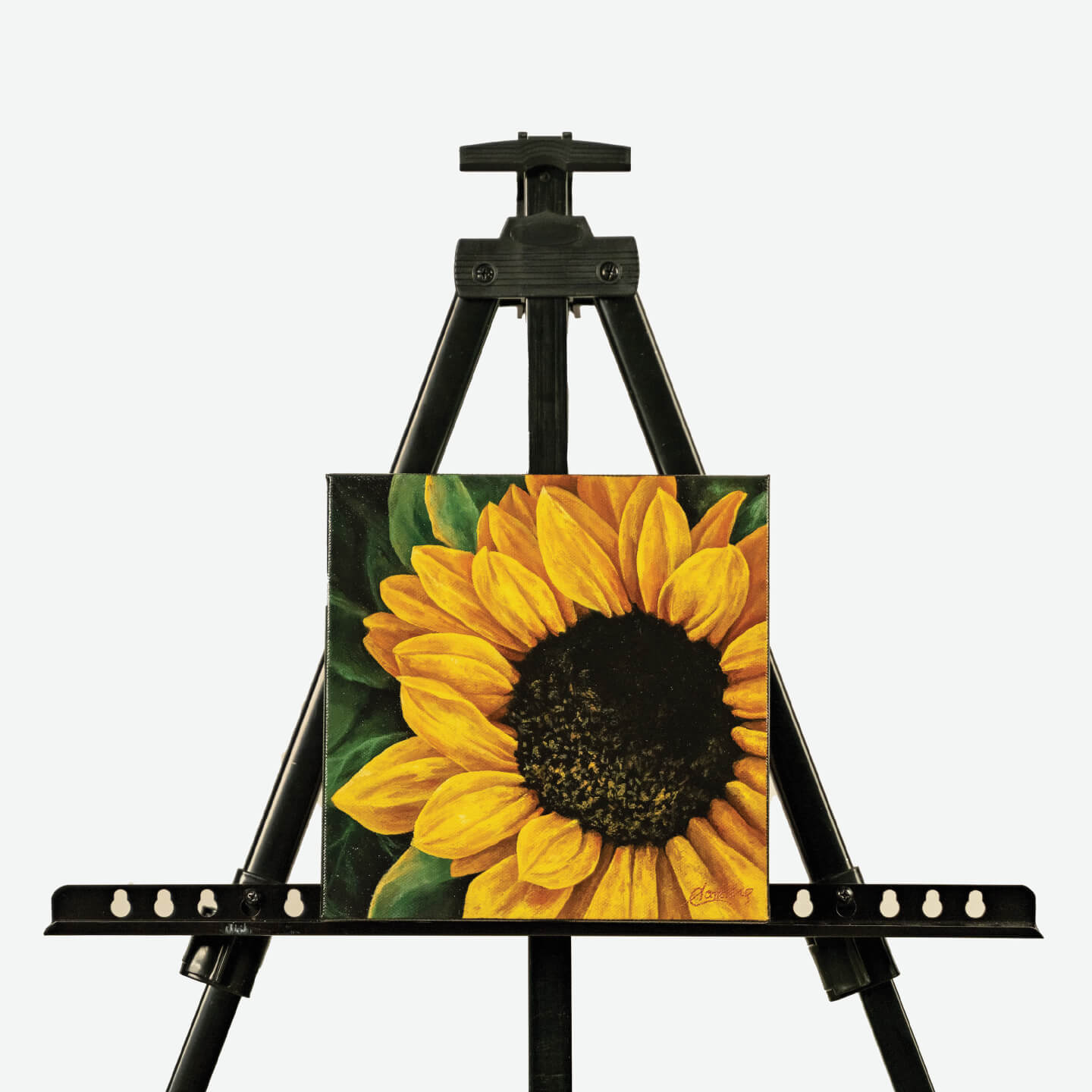 Sunflower II