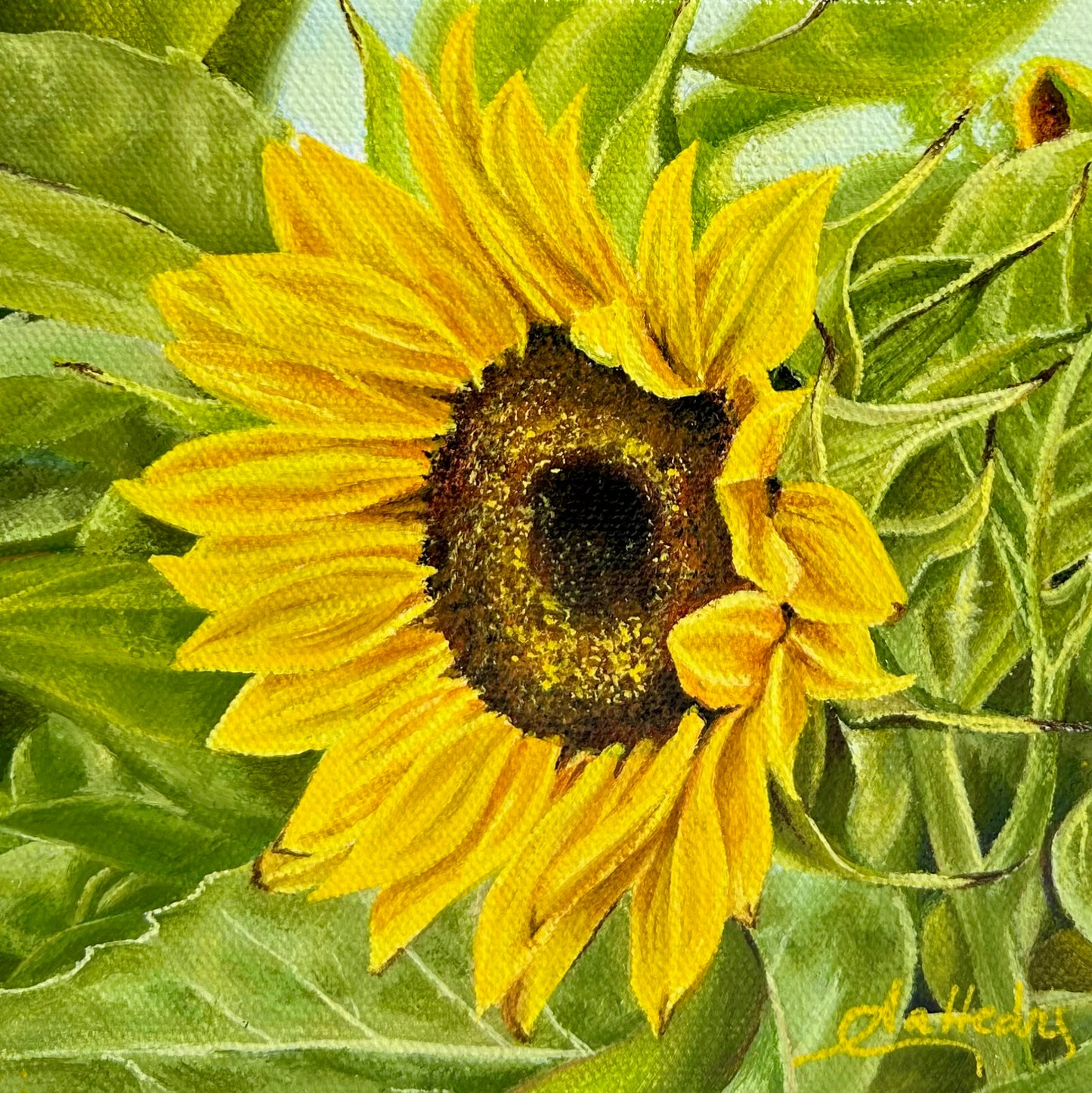 Sunflower IV