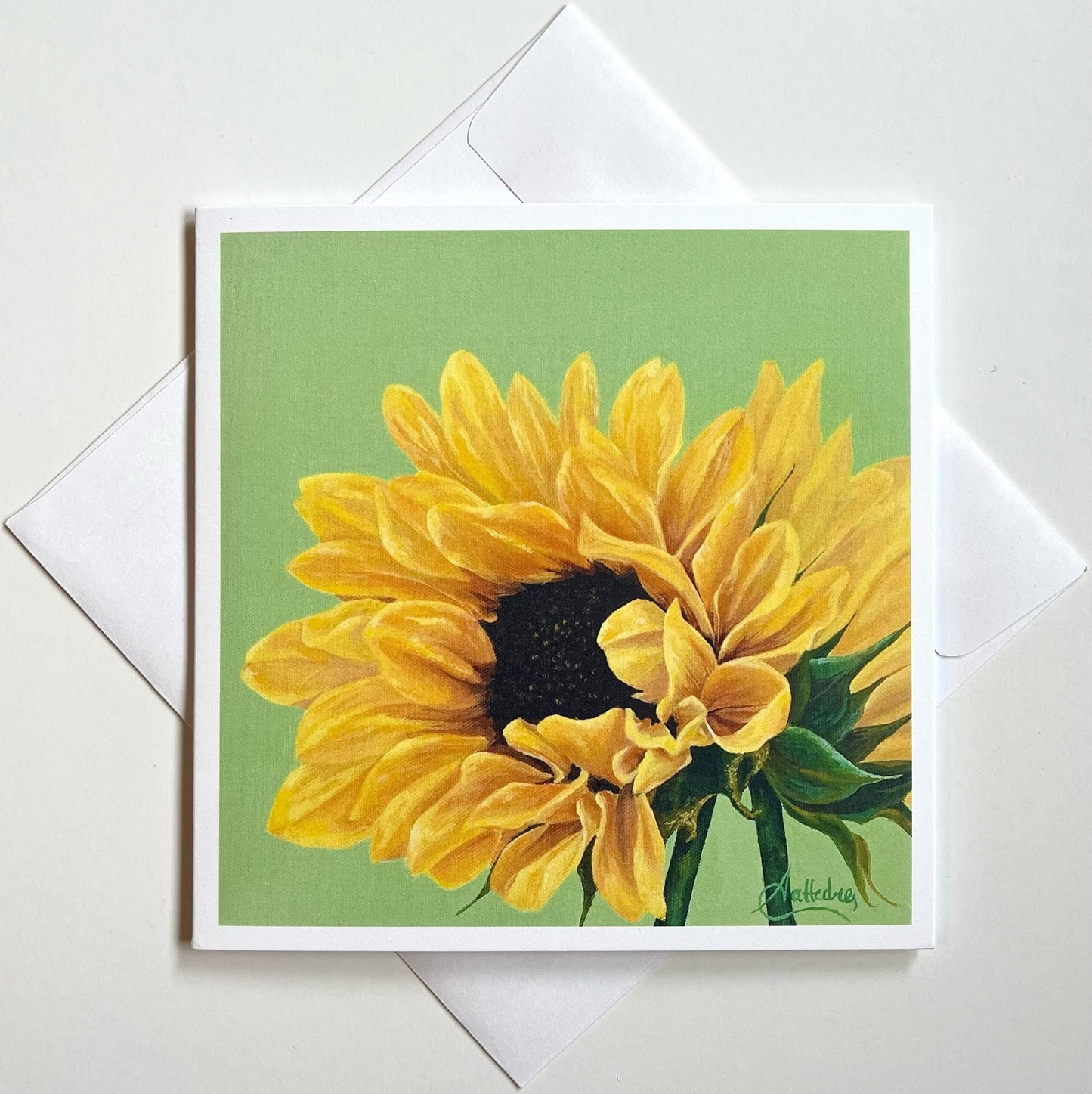 Sunflower