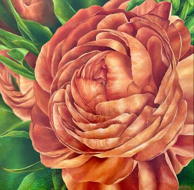 Rustic Beauty (Ranunculus)